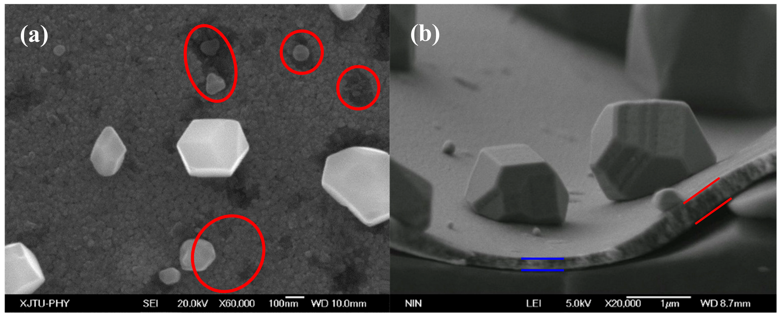 Materials 12 02467 g008