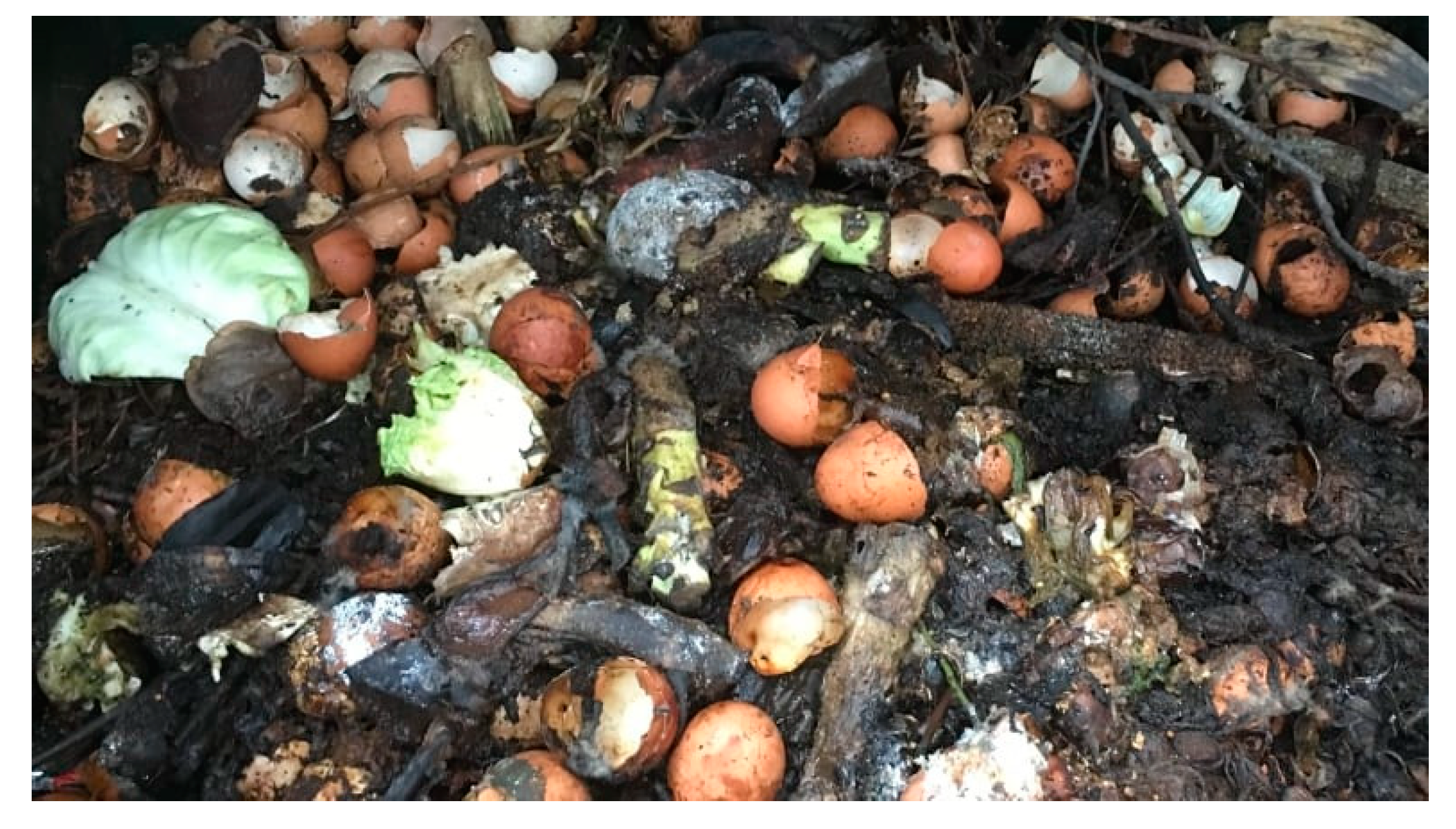 Materials 12 02483 g001