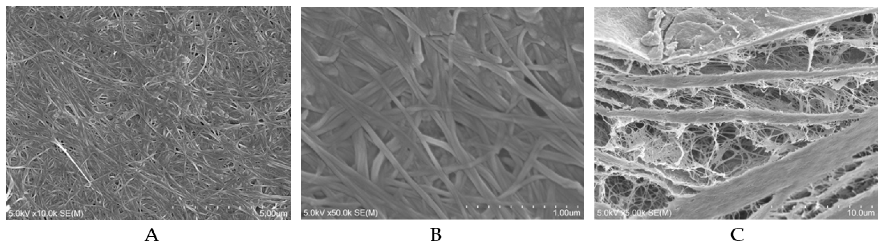 Materials 12 02489 g001