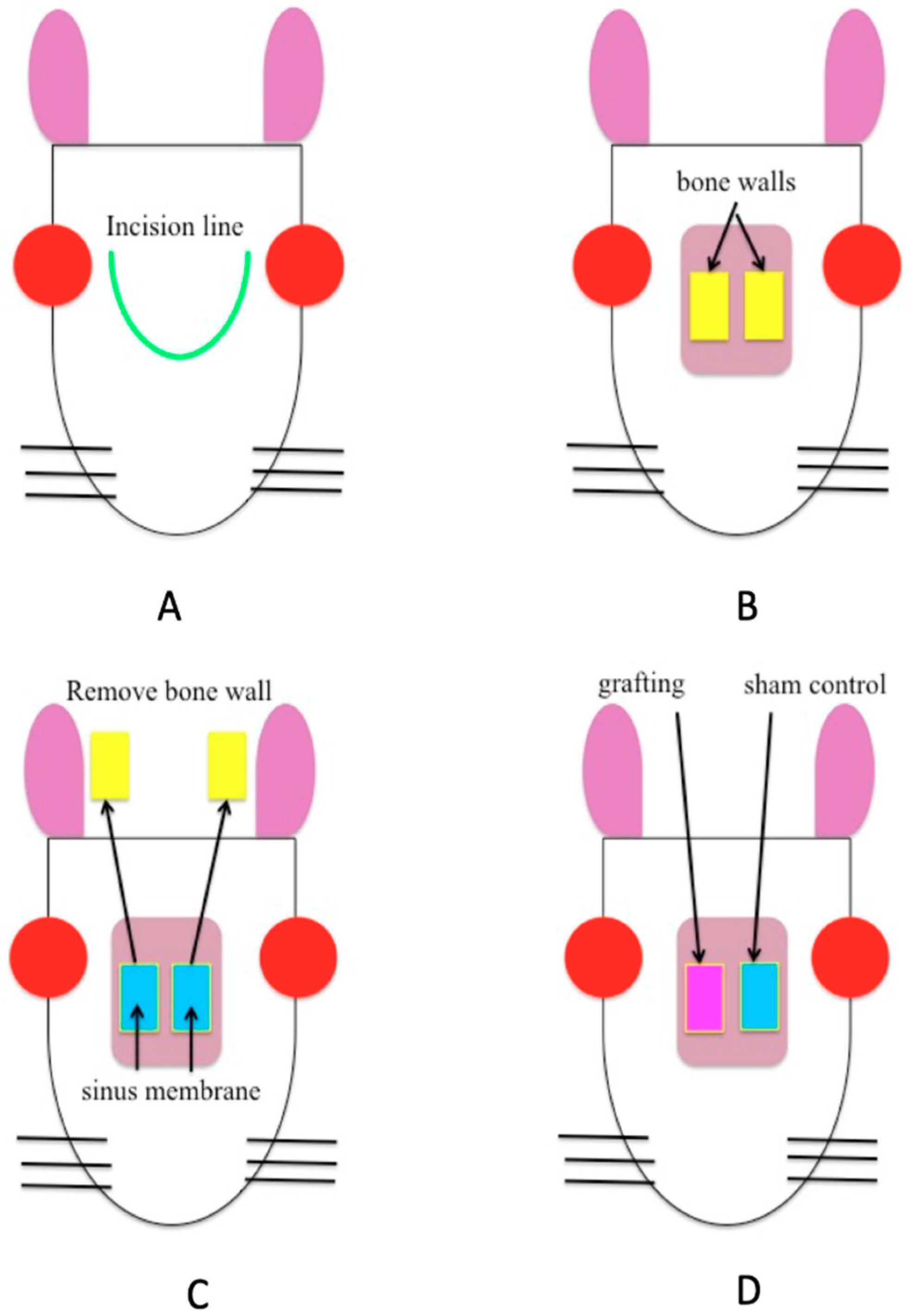 Materials 12 02489 g002