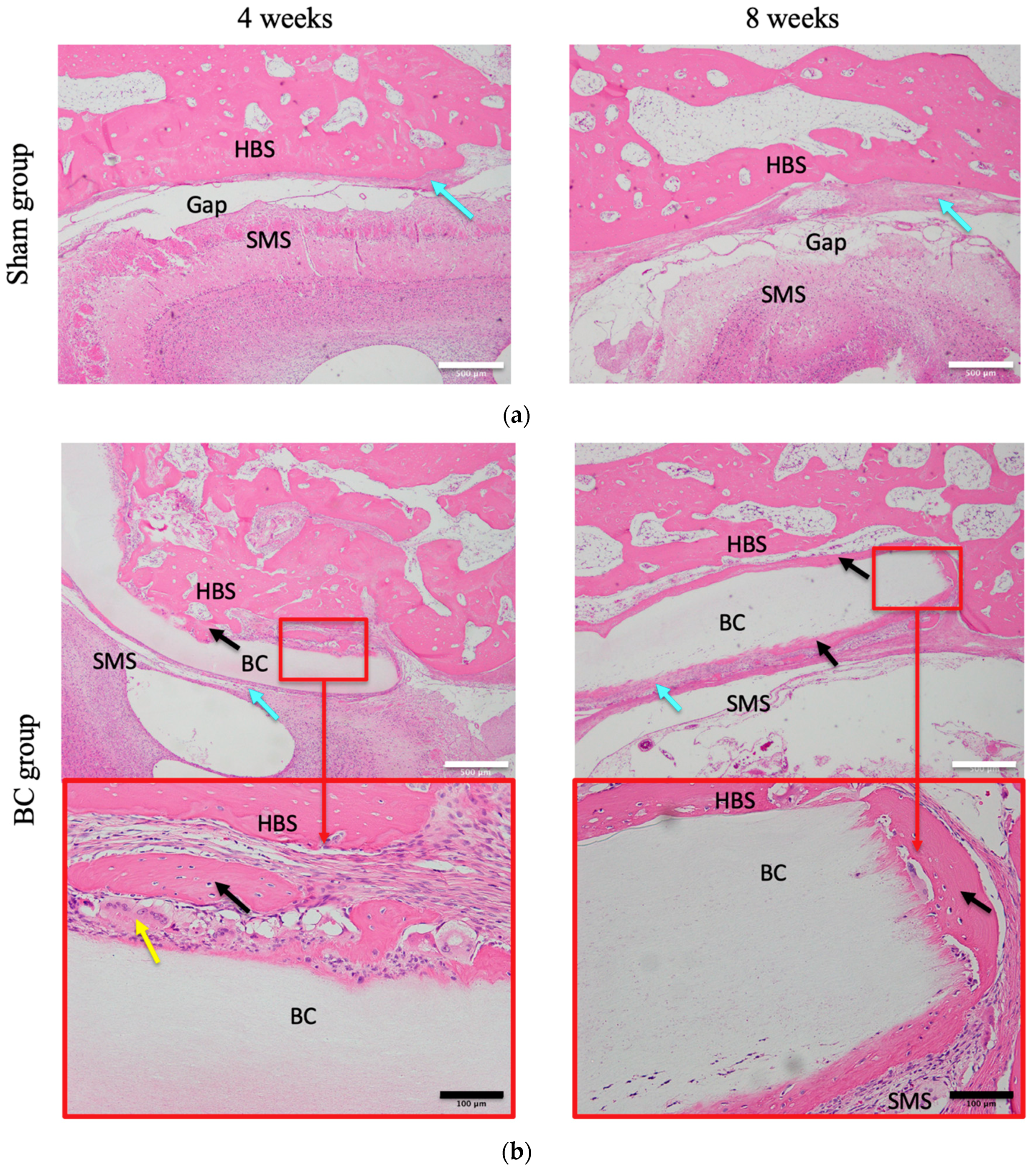 Materials 12 02489 g003a