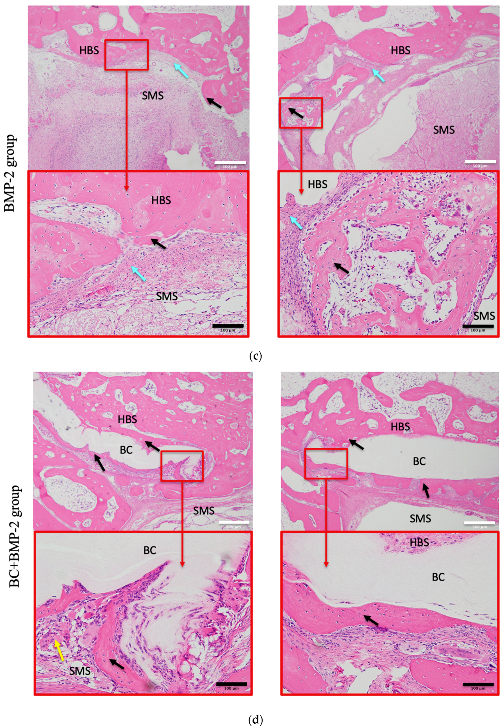 Materials 12 02489 g003b