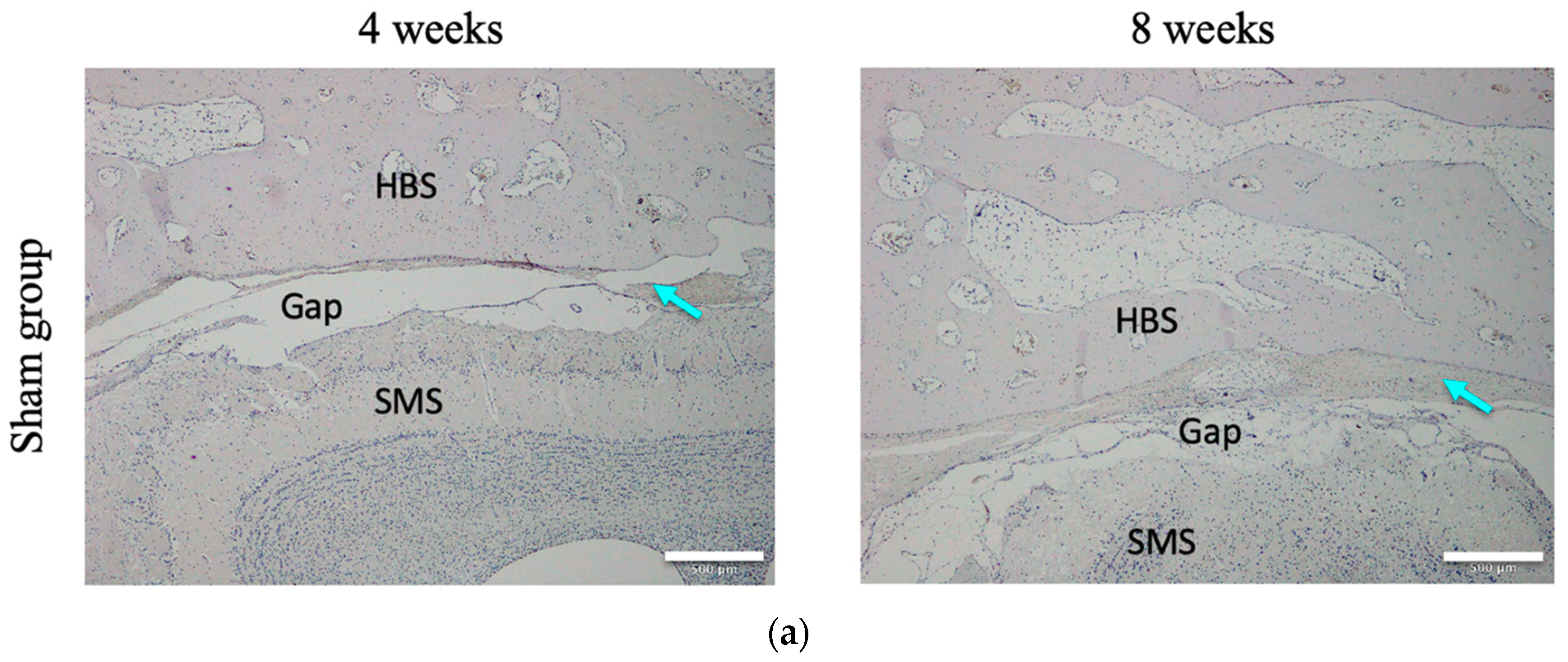 Materials 12 02489 g005a