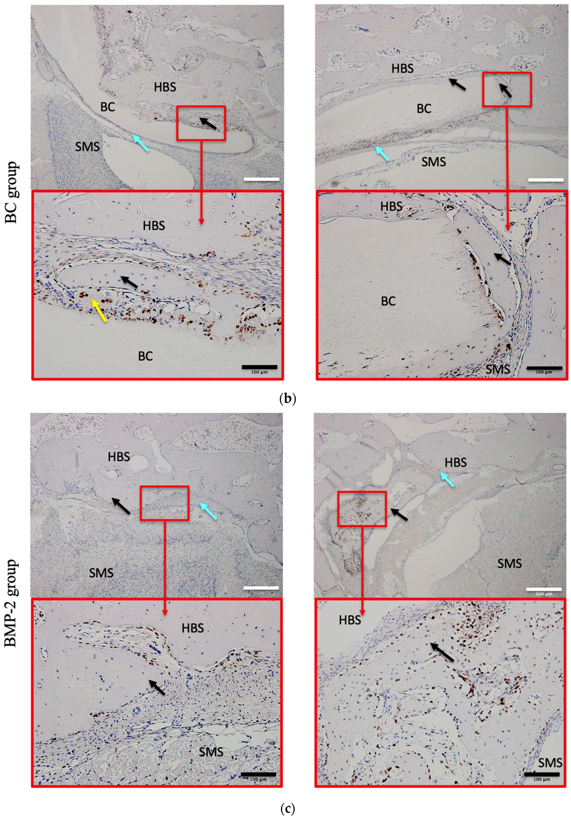 Materials 12 02489 g005b