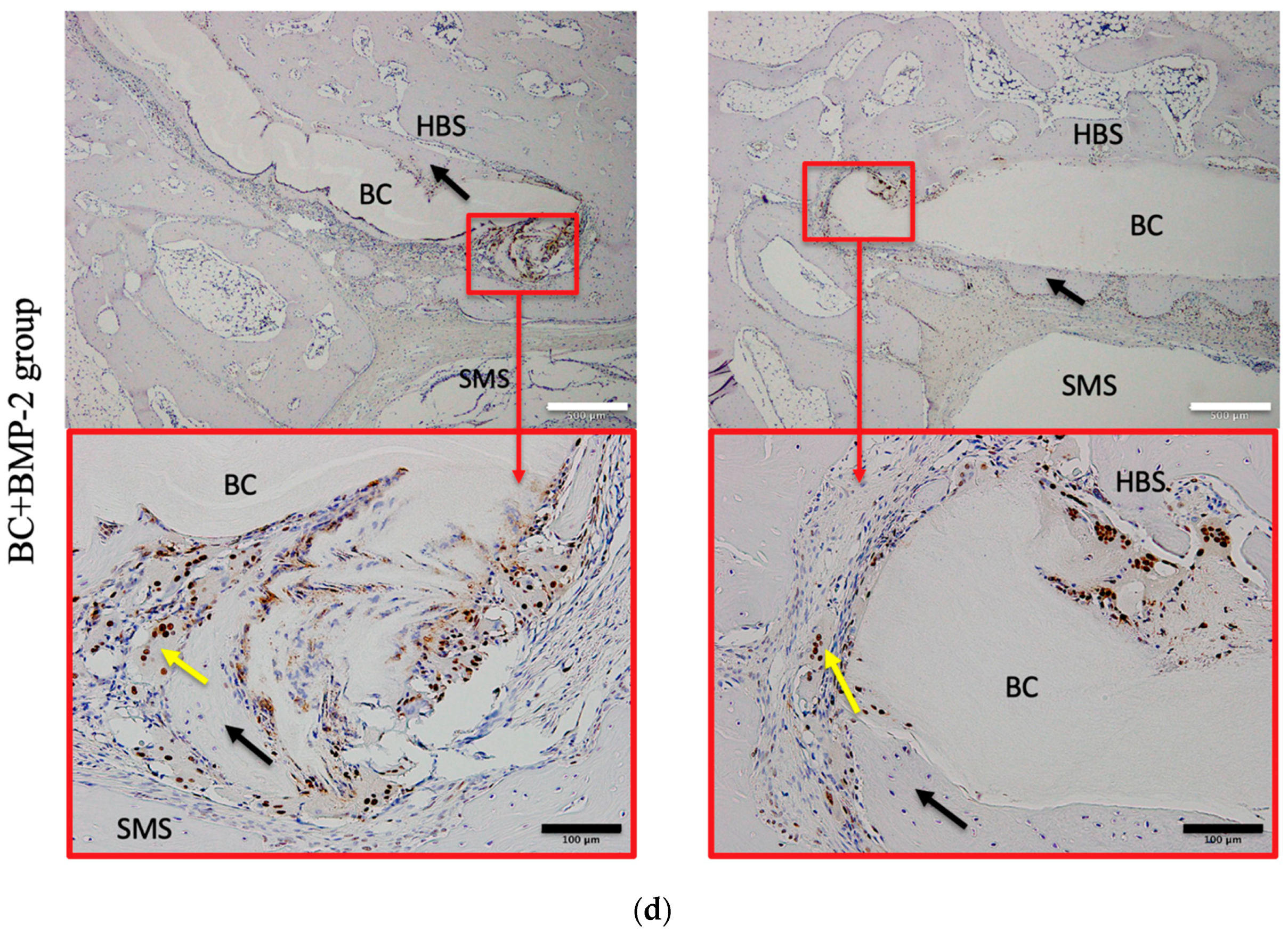 Materials 12 02489 g005c