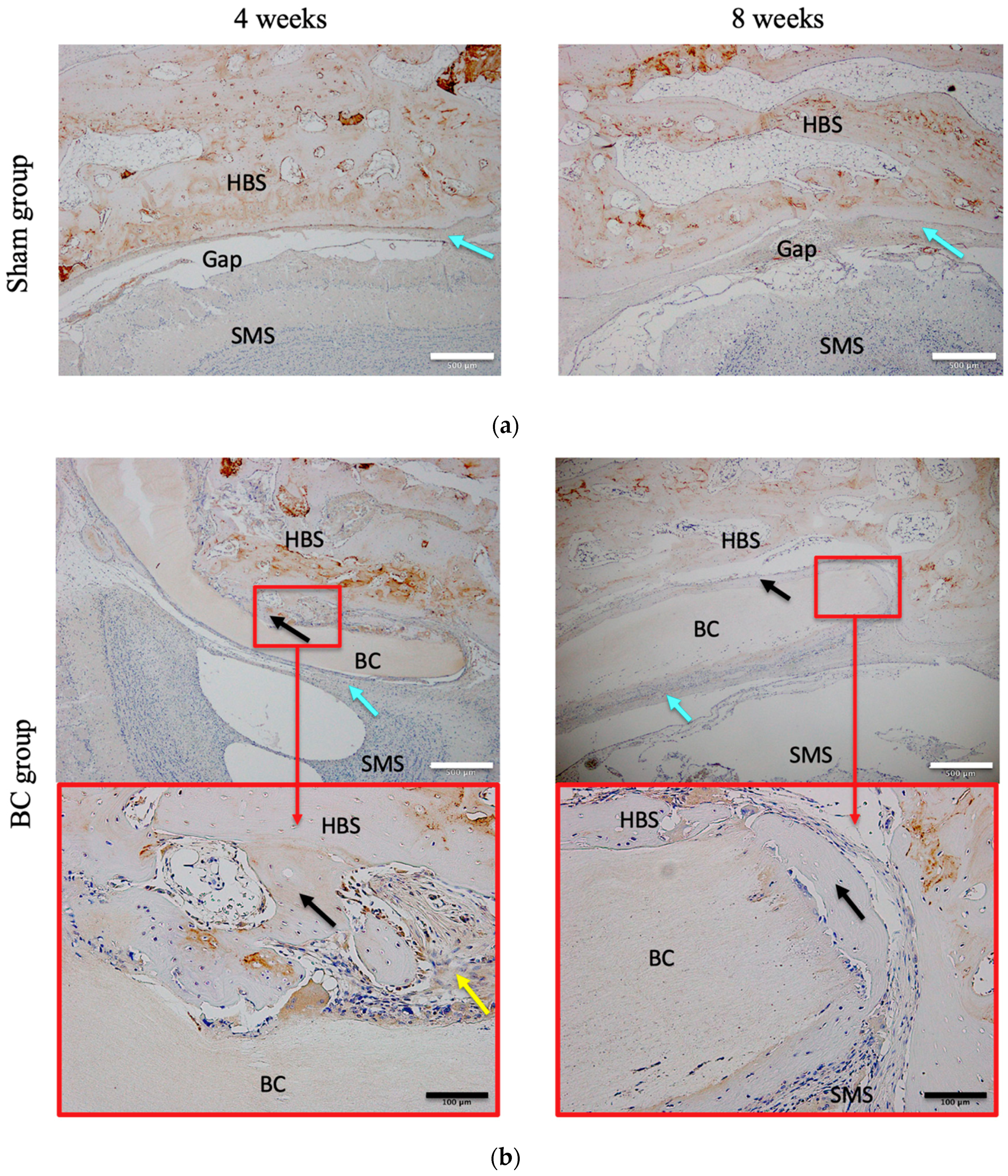 Materials 12 02489 g007a