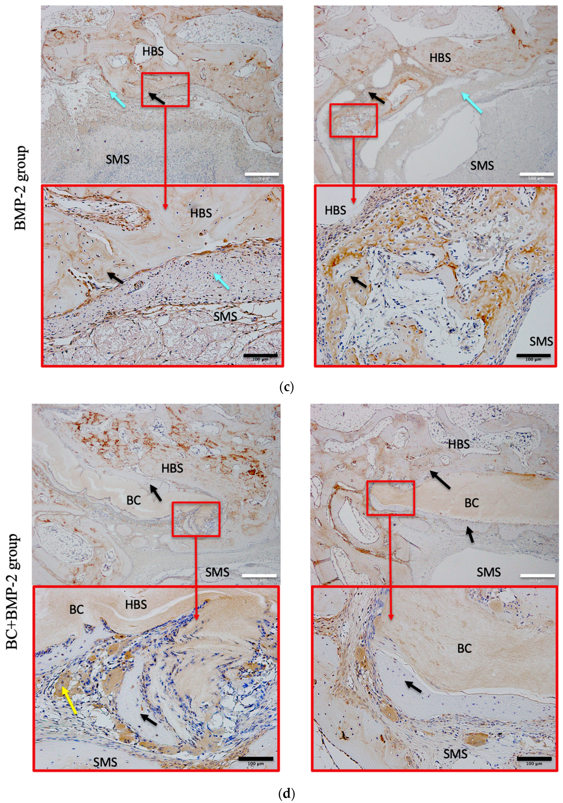 Materials 12 02489 g007b