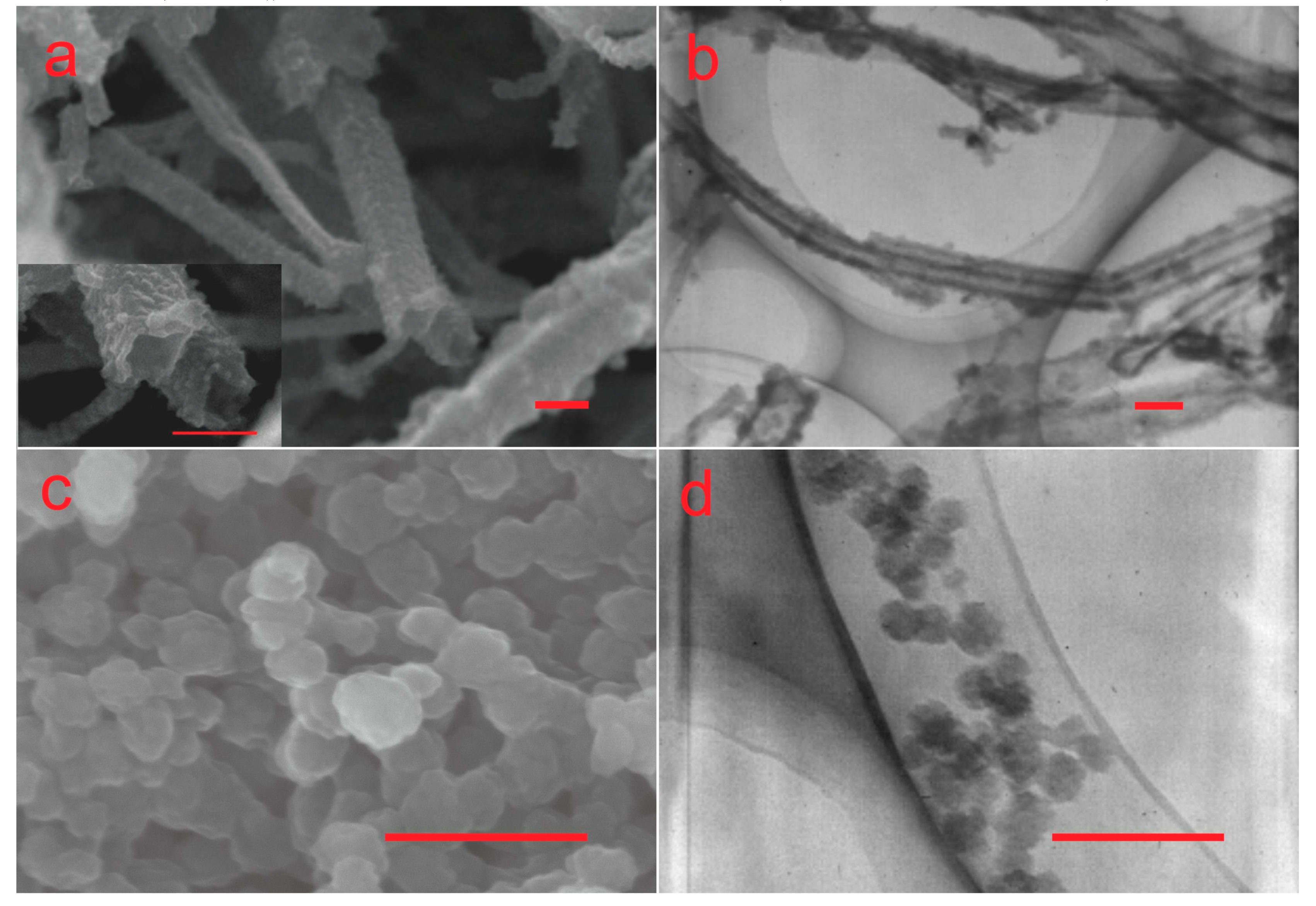 Materials 12 02491 g001