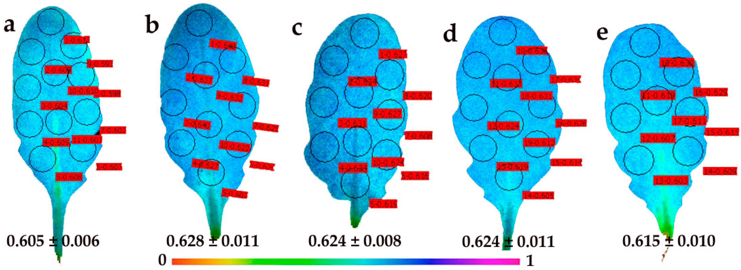 Materials 12 02498 g008