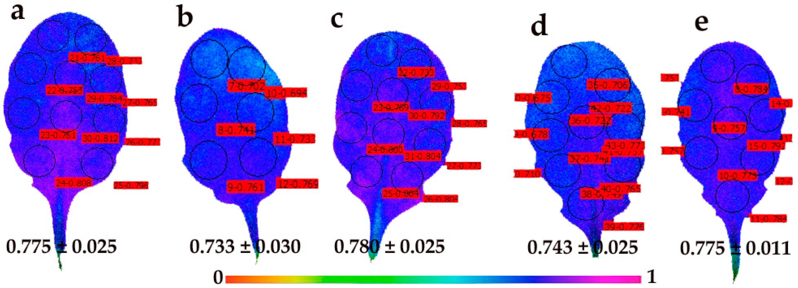 Materials 12 02498 g009