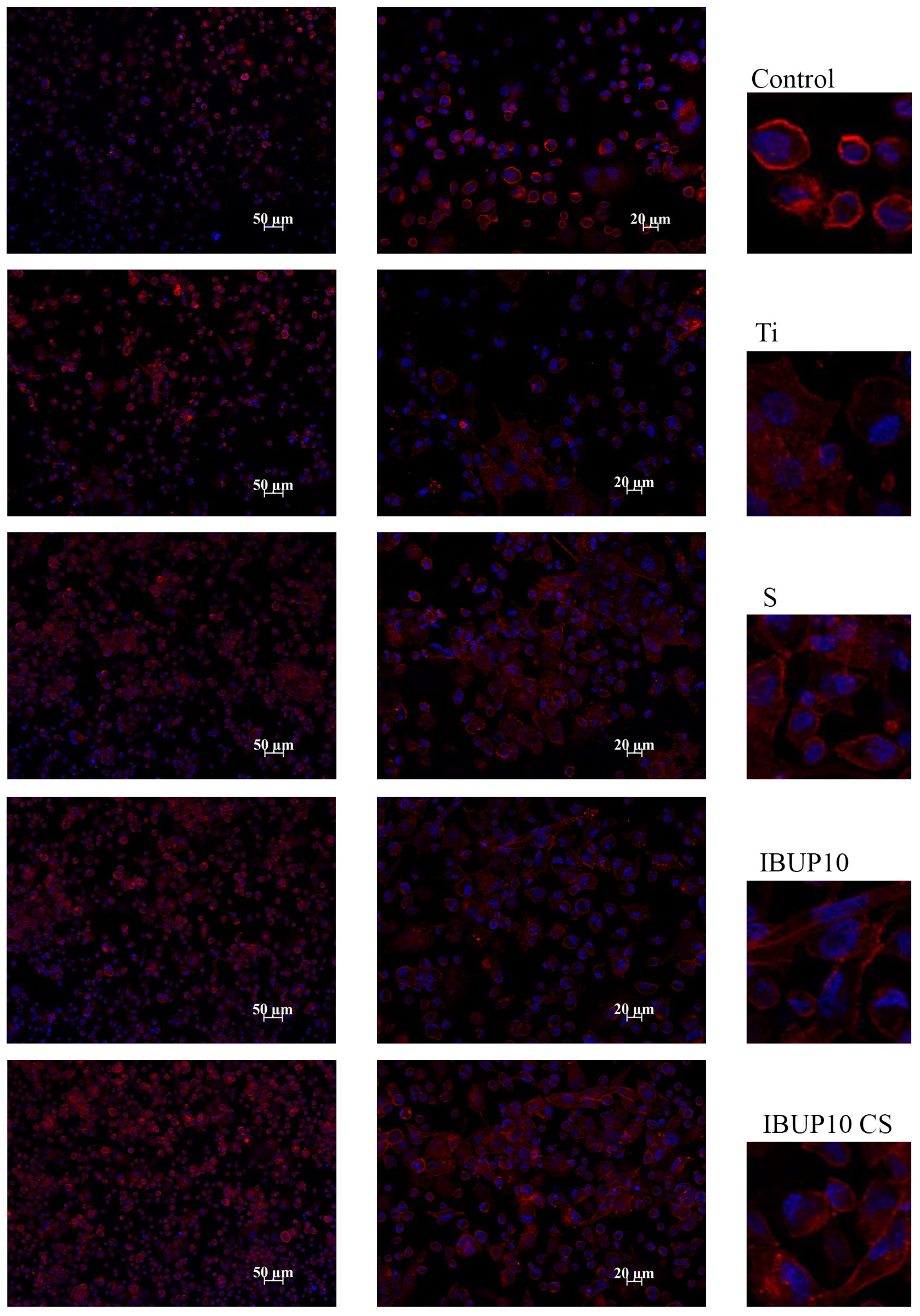 Materials 12 02521 g009