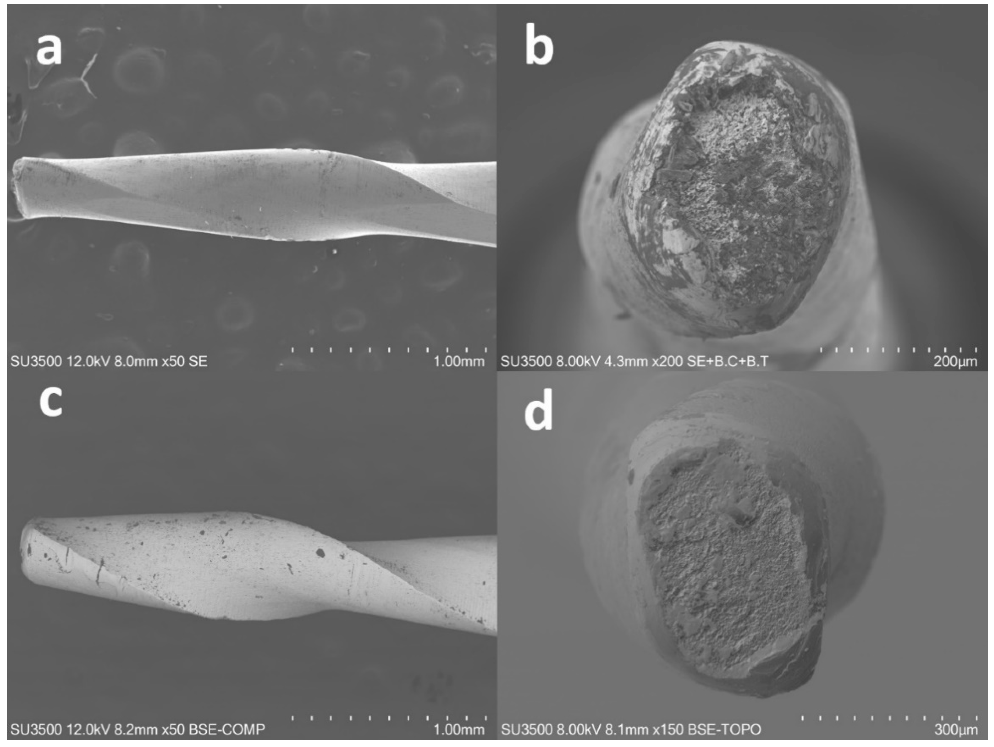 Materials 12 02523 g001