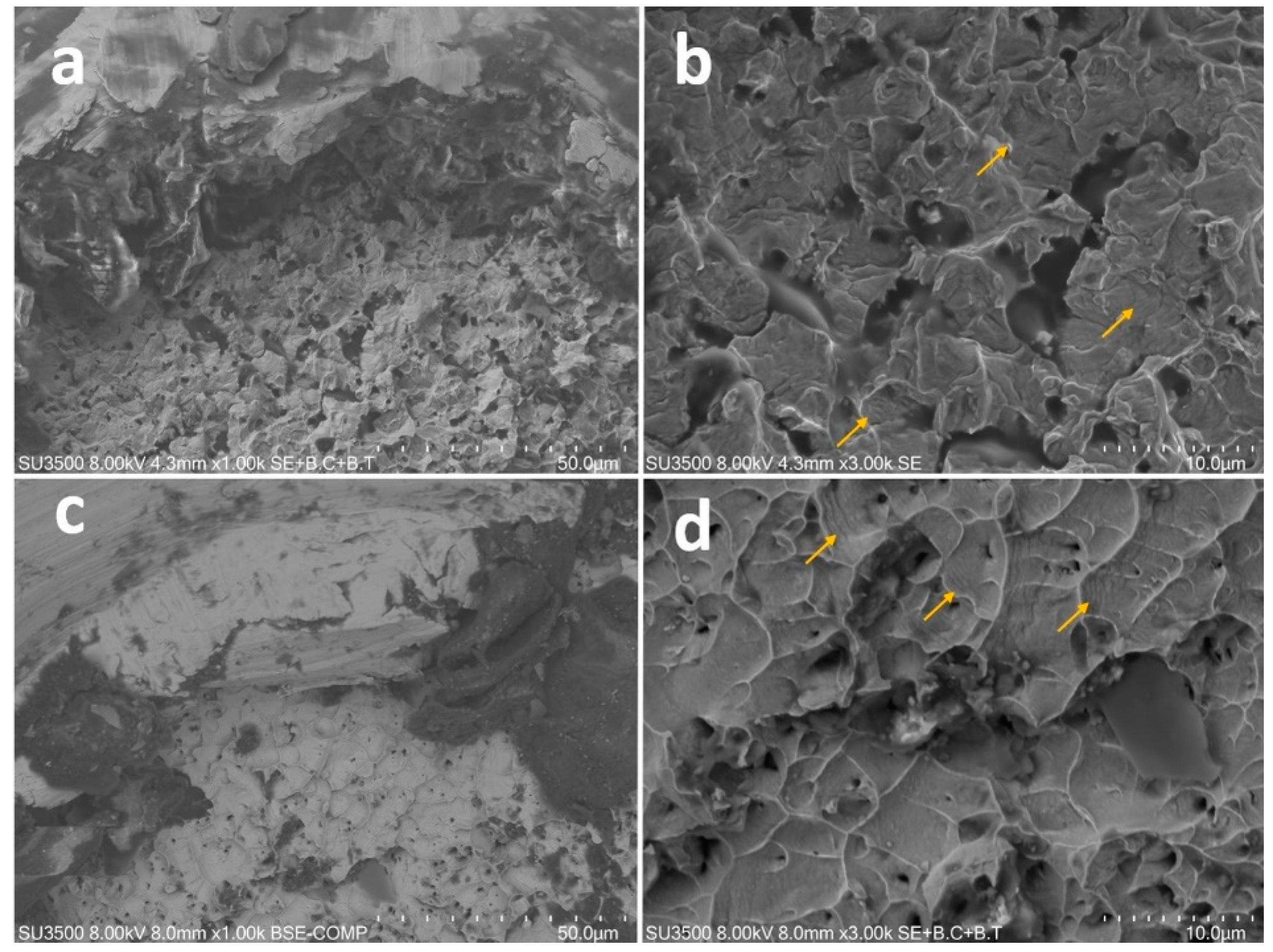 Materials 12 02523 g003