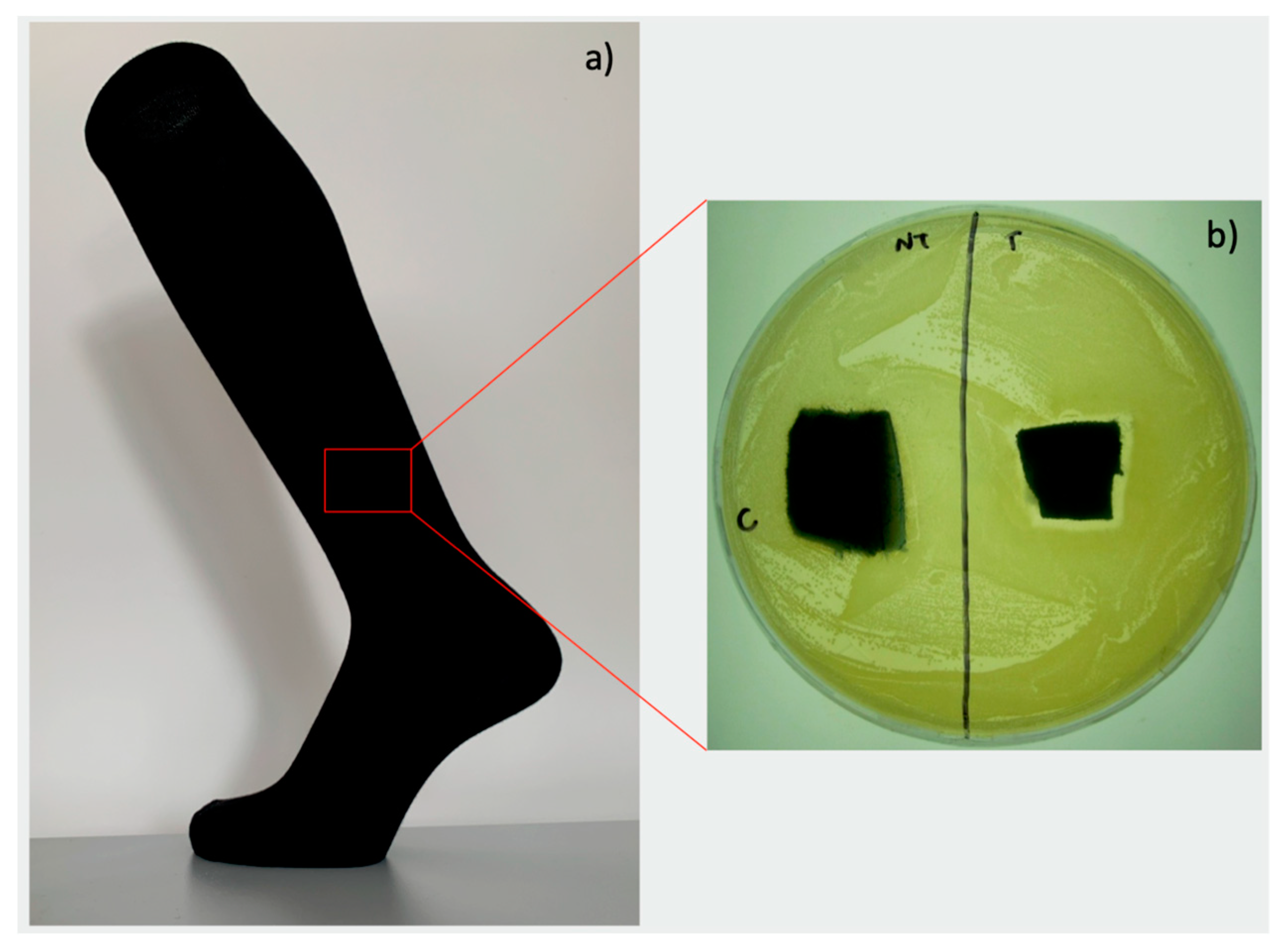 Materials 12 02540 g001