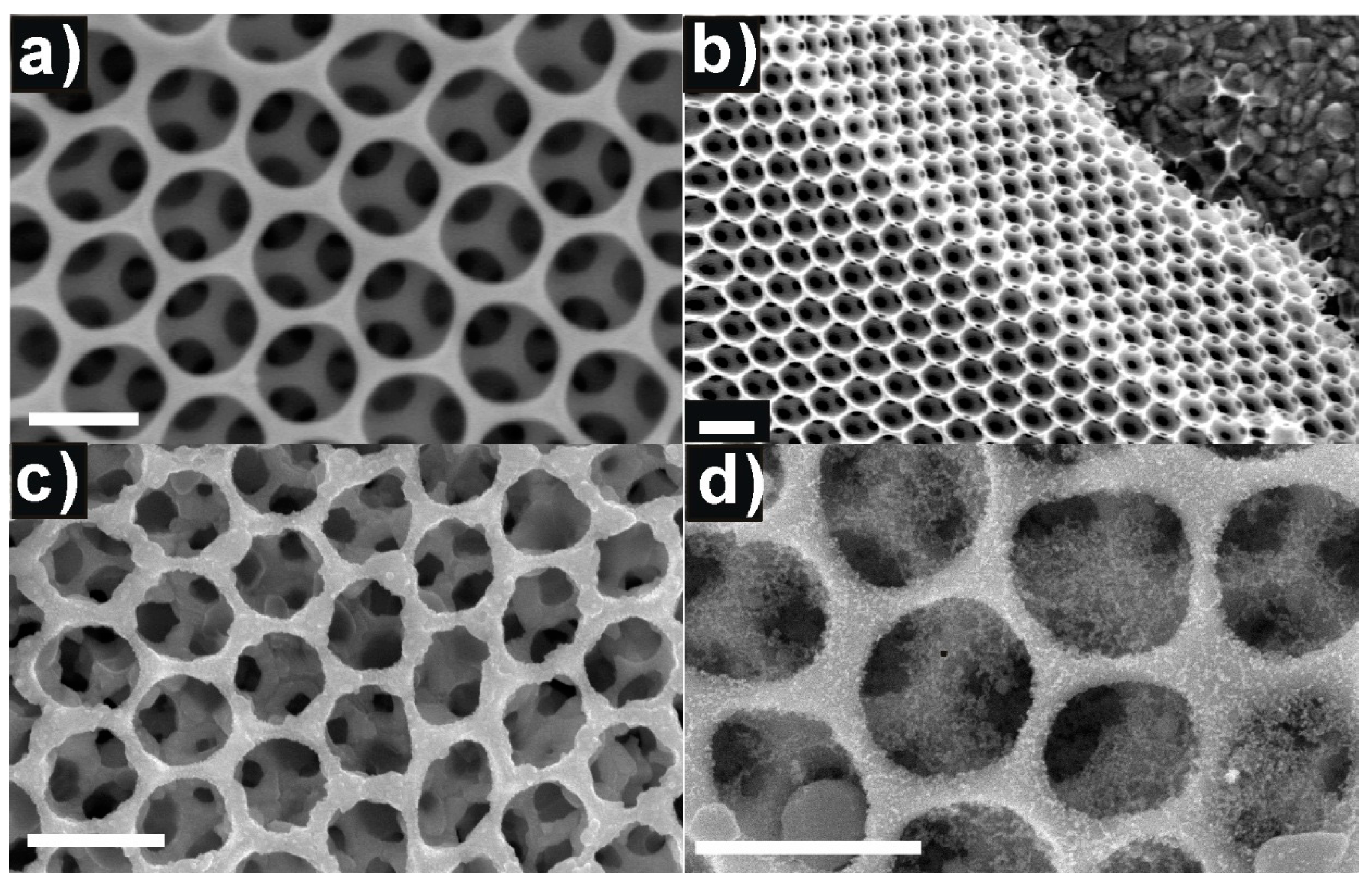 Materials 12 02558 g001