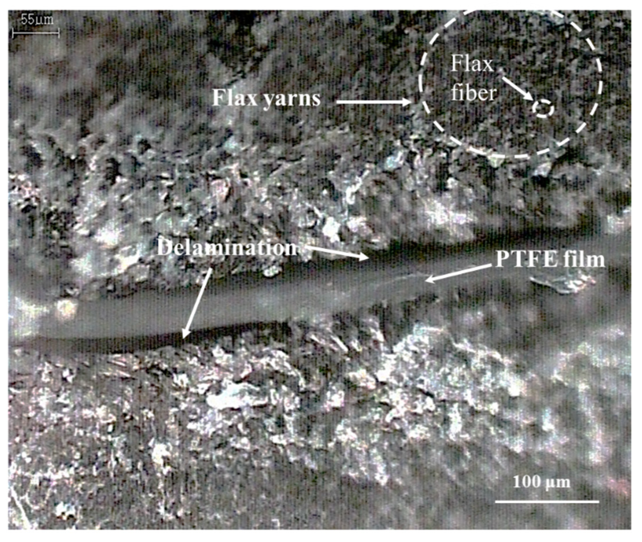 Materials 12 02559 g003