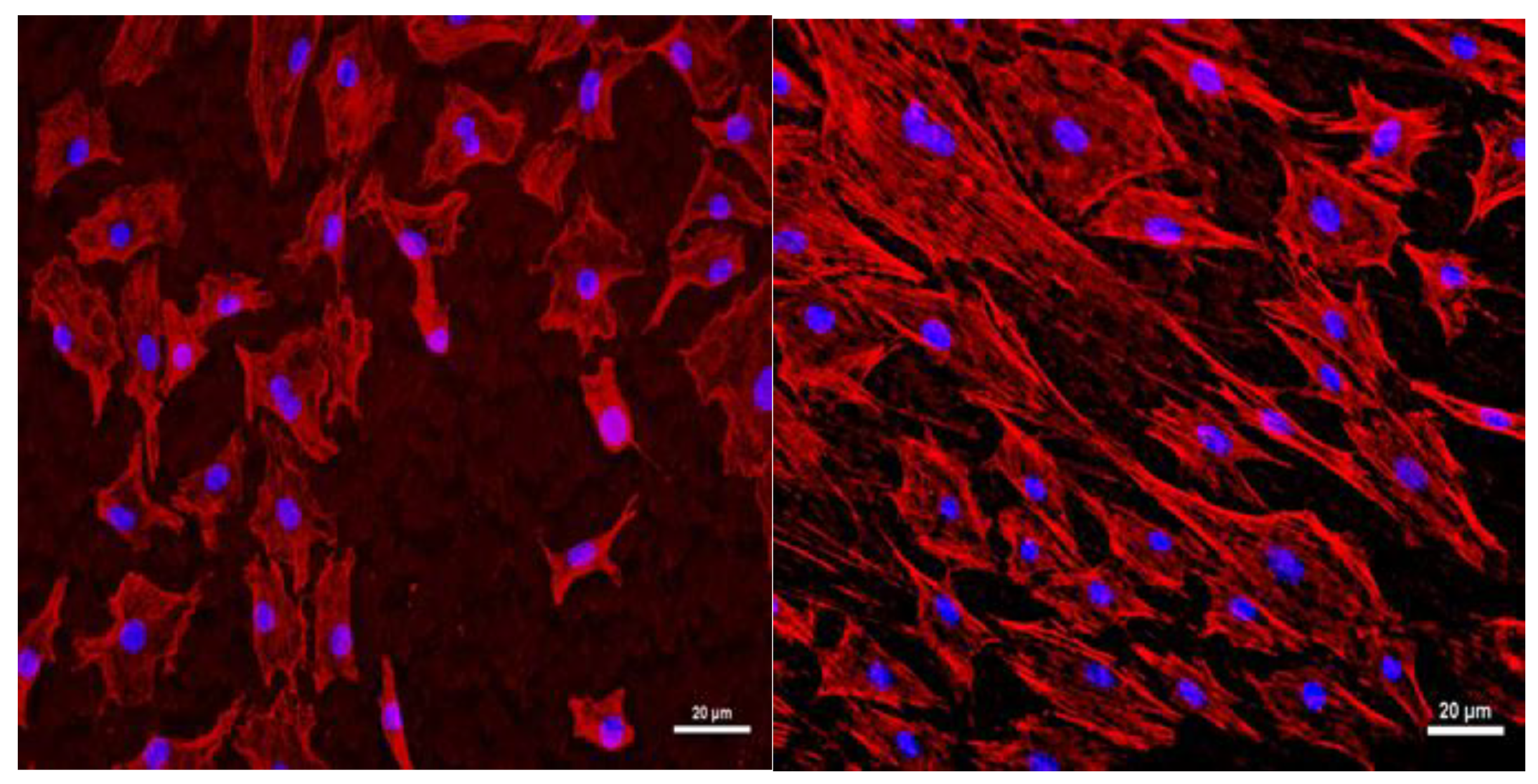 Materials 12 02581 g008