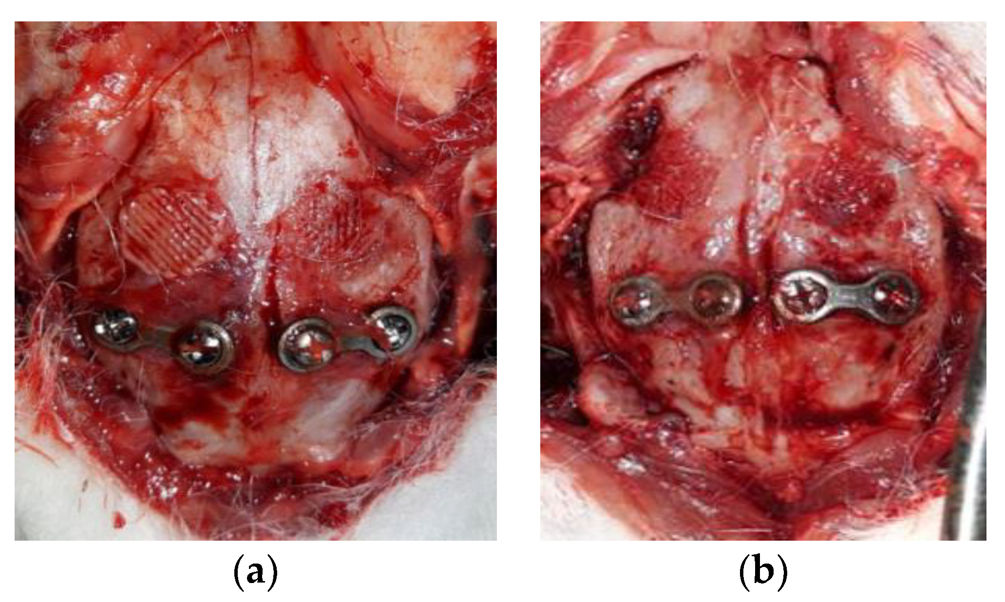 Materials 12 02581 g011