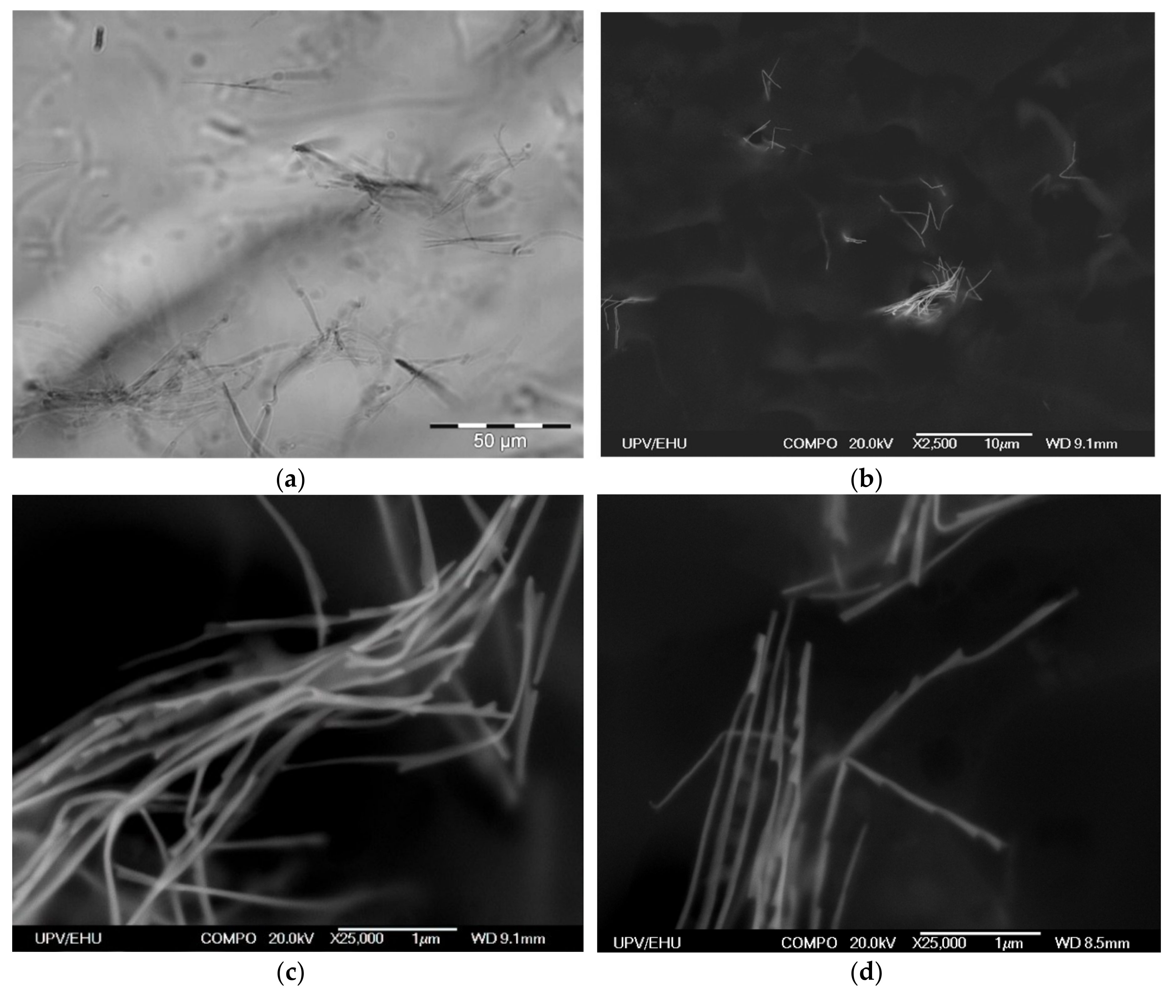 Materials 12 02582 g004 Materials 12 02582 g004