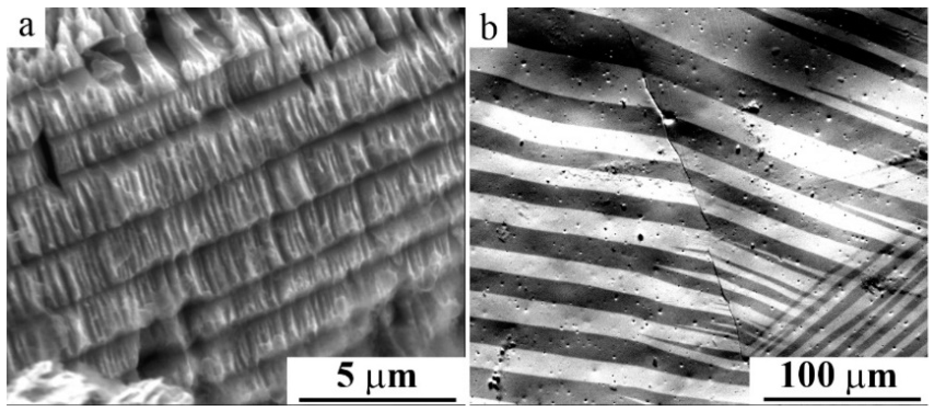 Materials 12 02616 g011