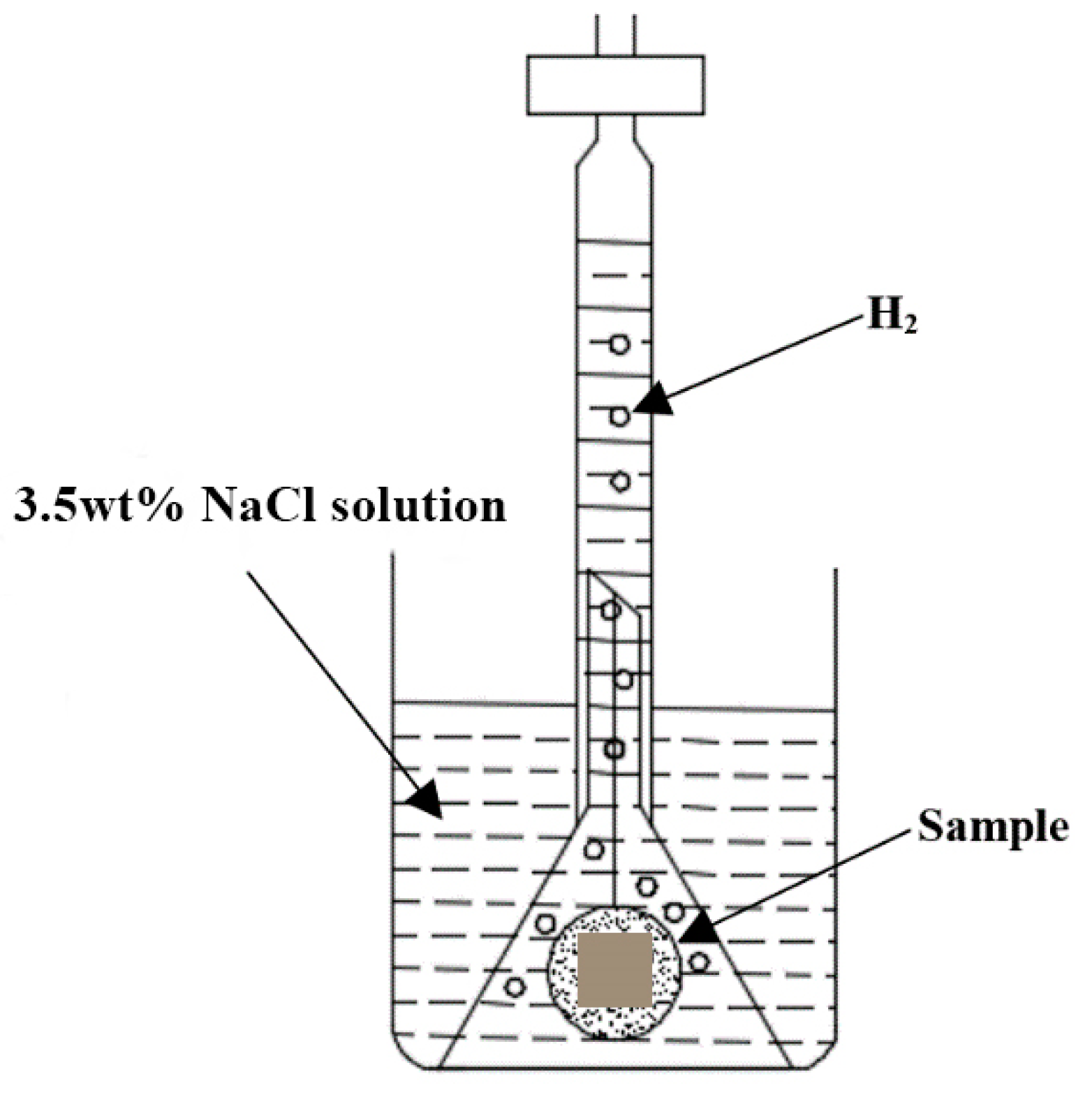 Materials 12 02624 g001