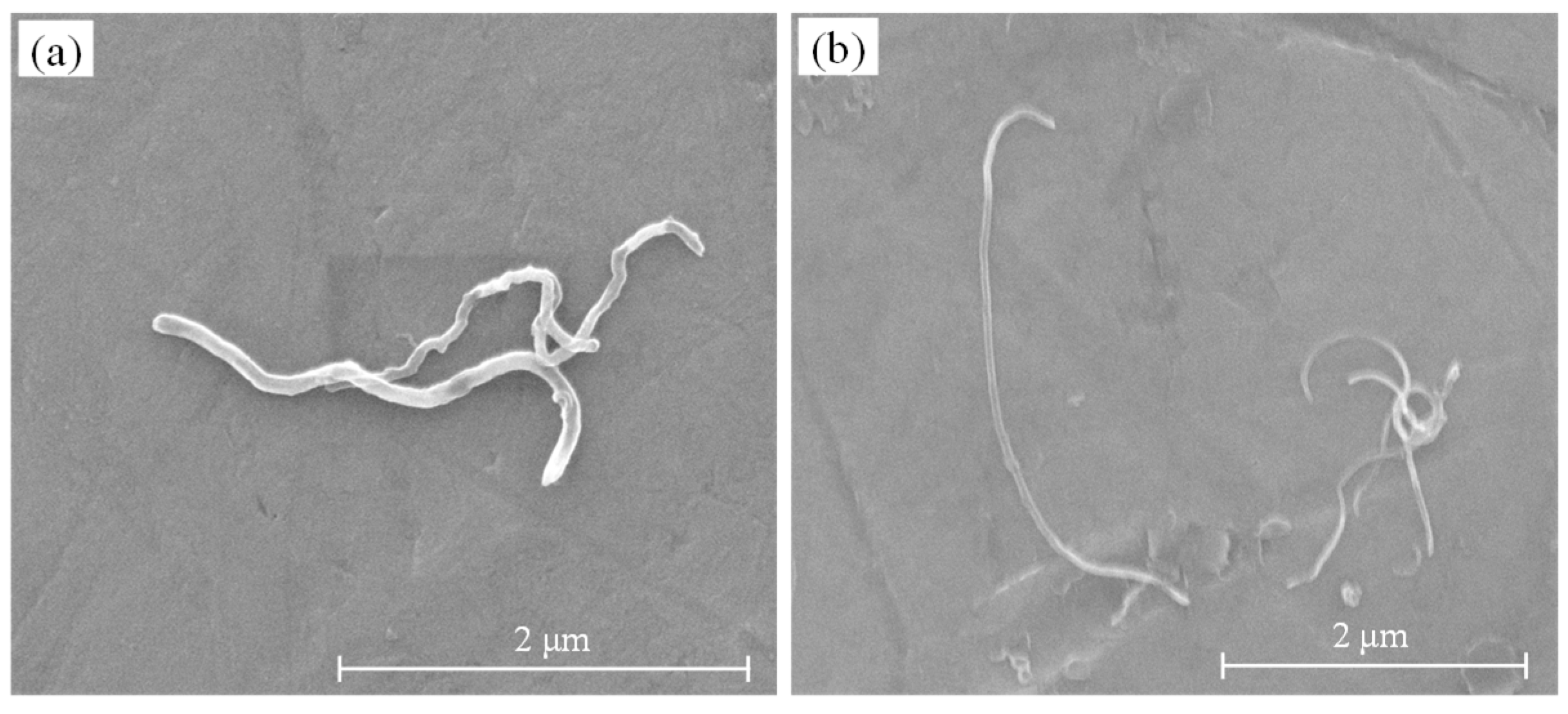 Materials 12 02625 g001 Materials 12 02625 g001