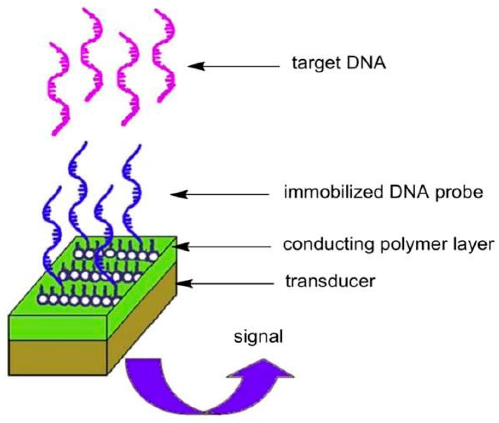 Materials 12 02629 g018