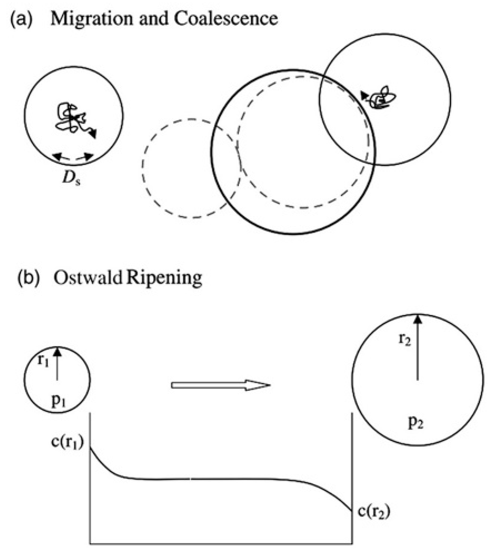 Materials 12 02639 g003