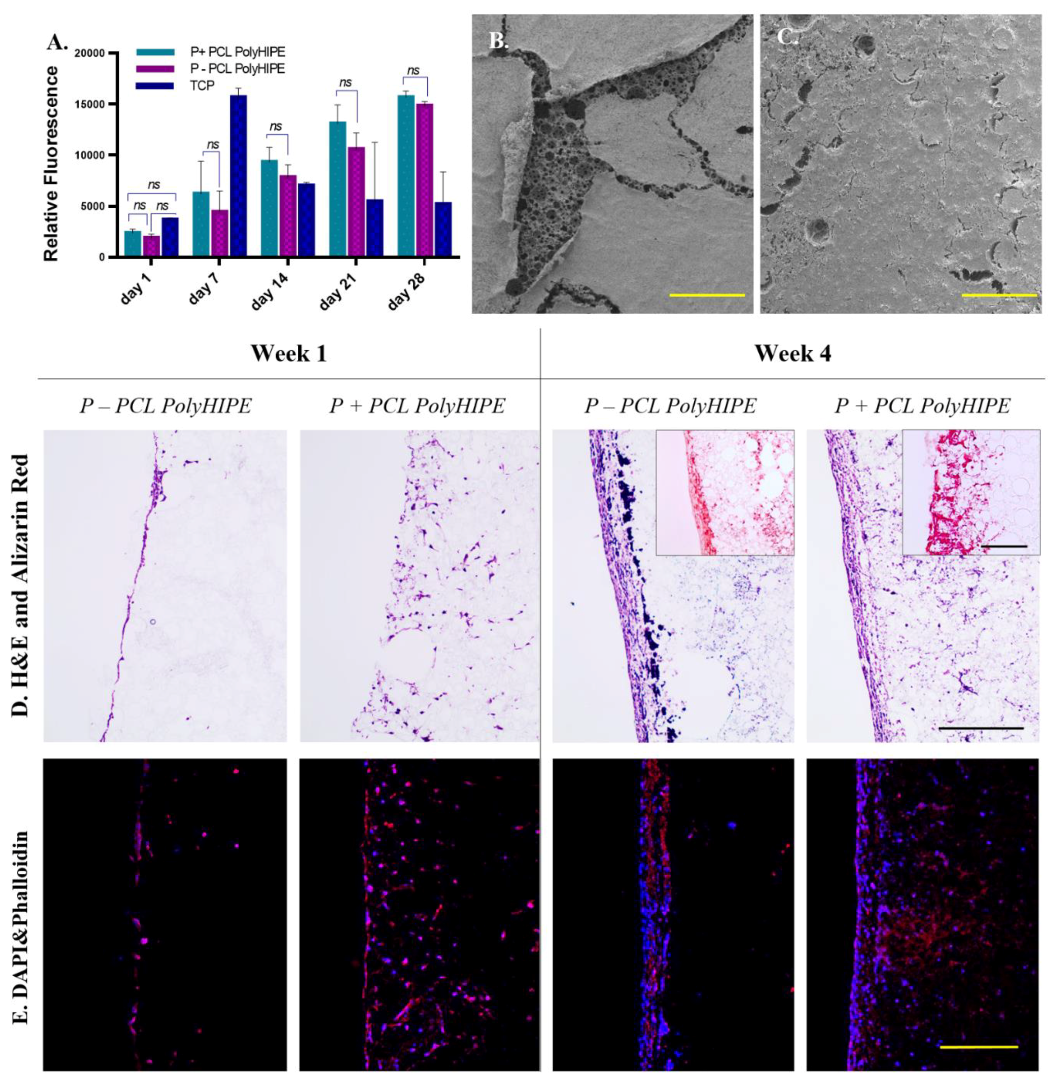 Materials 12 02643 g003