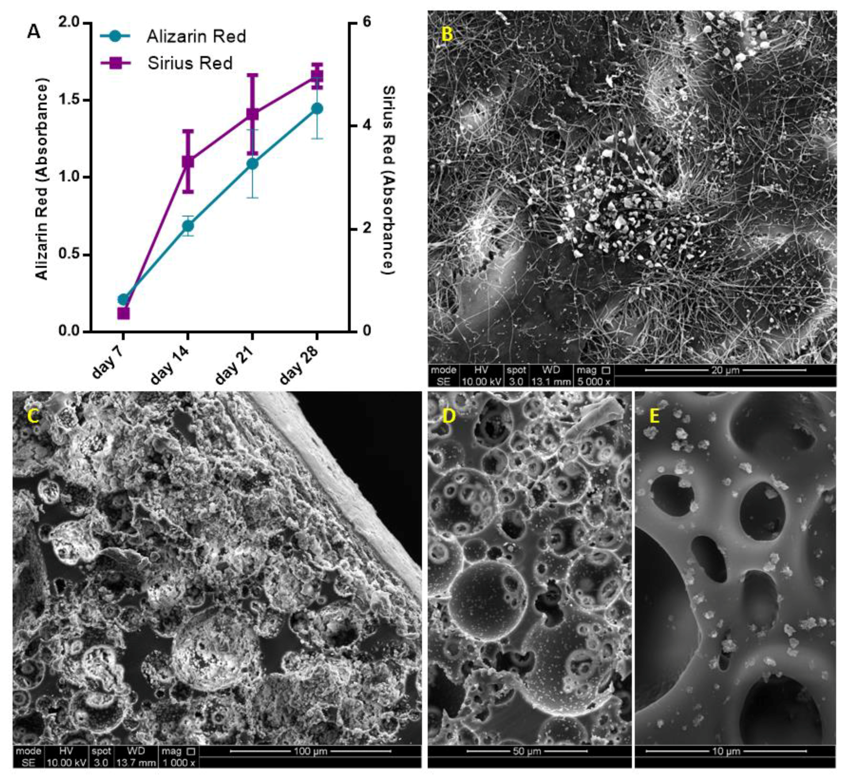 Materials 12 02643 g004