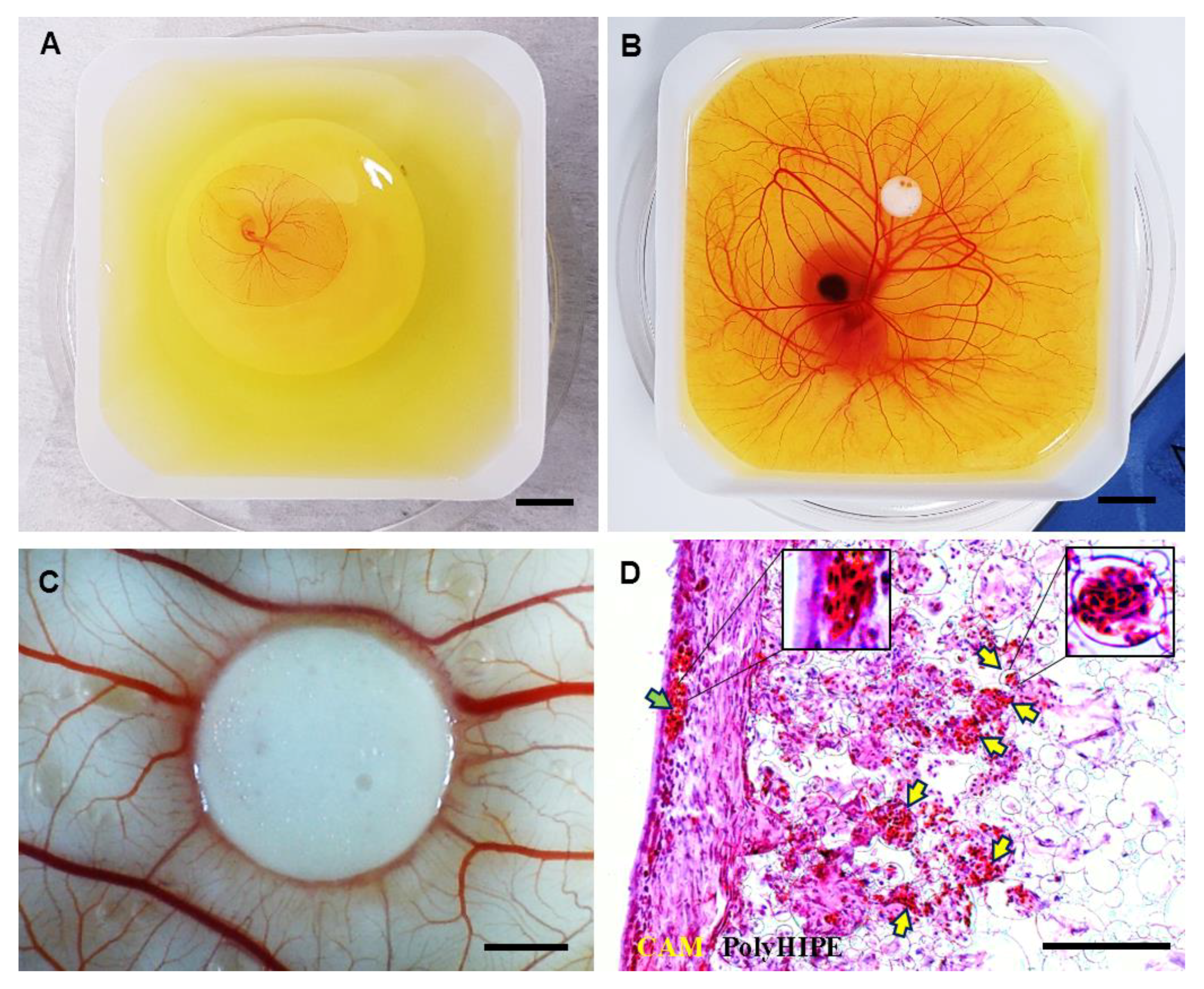 Materials 12 02643 g005