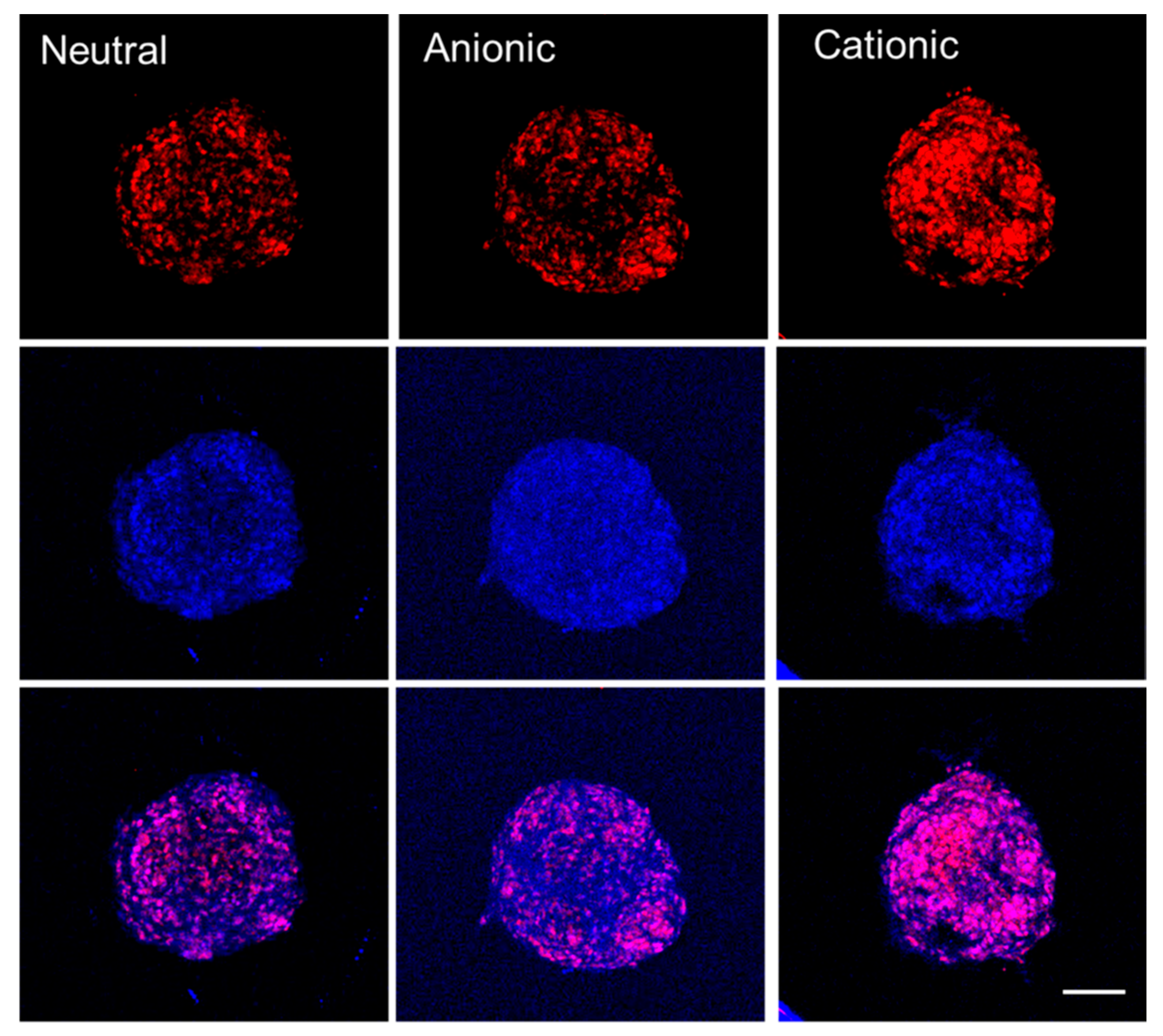 Materials 12 02693 g003 Materials 12 02693 g003