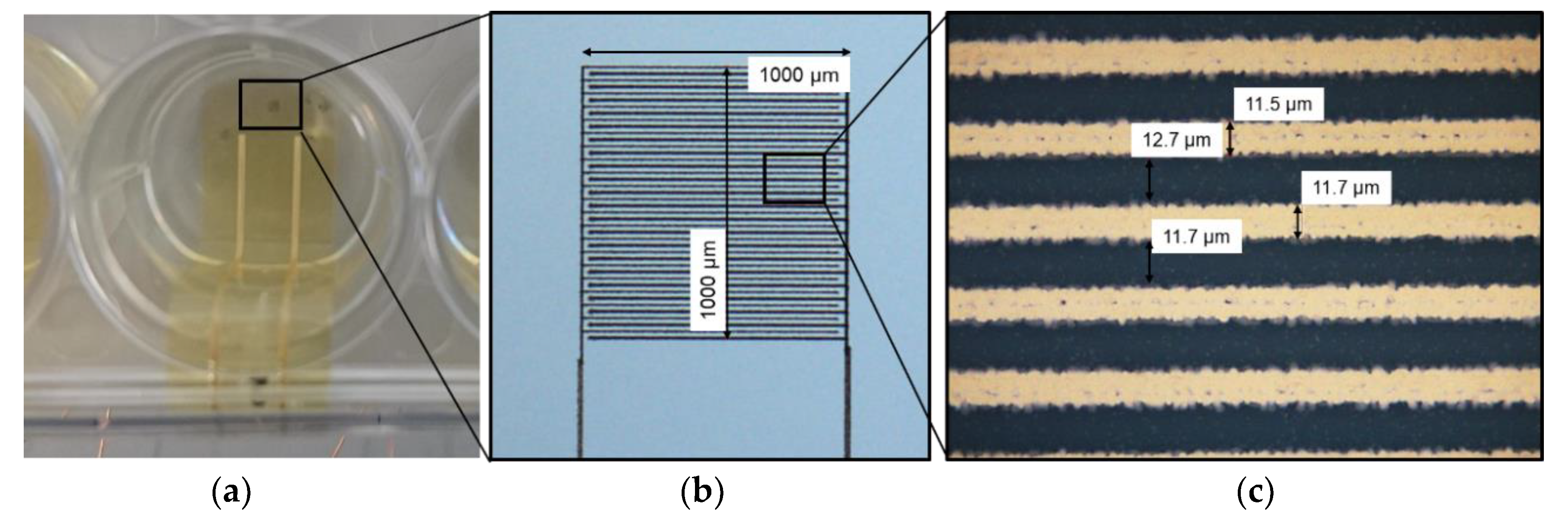 Materials 12 02713 g001
