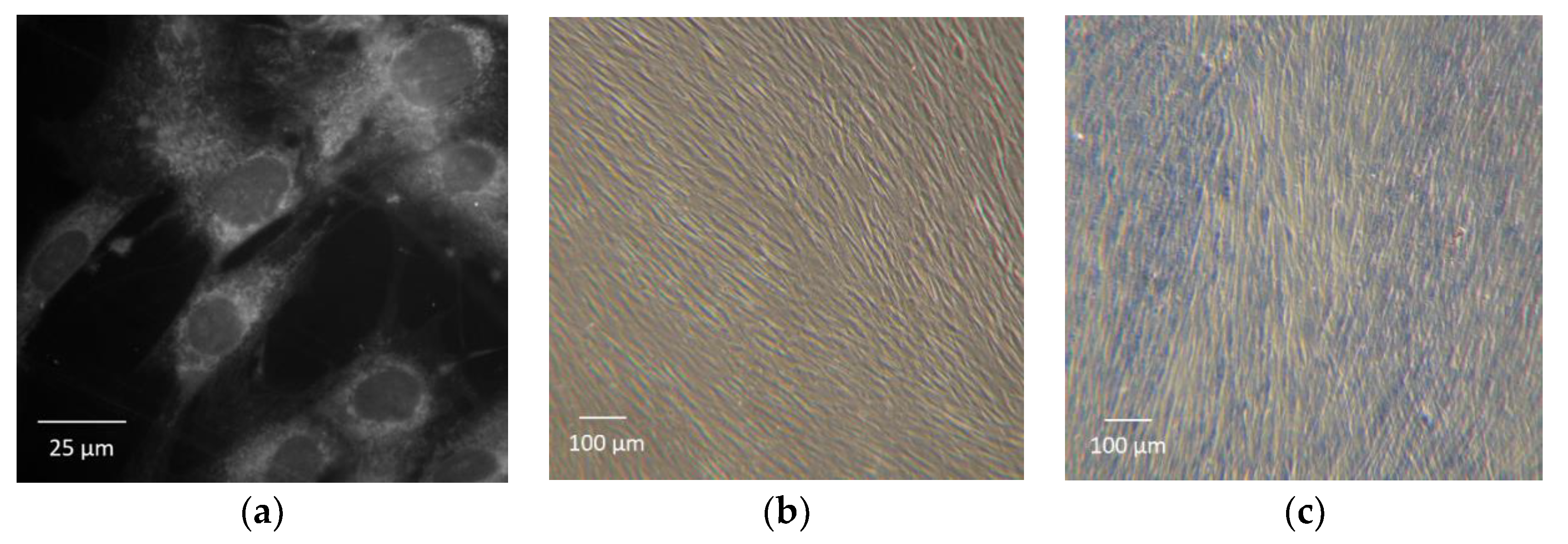 Materials 12 02713 g005