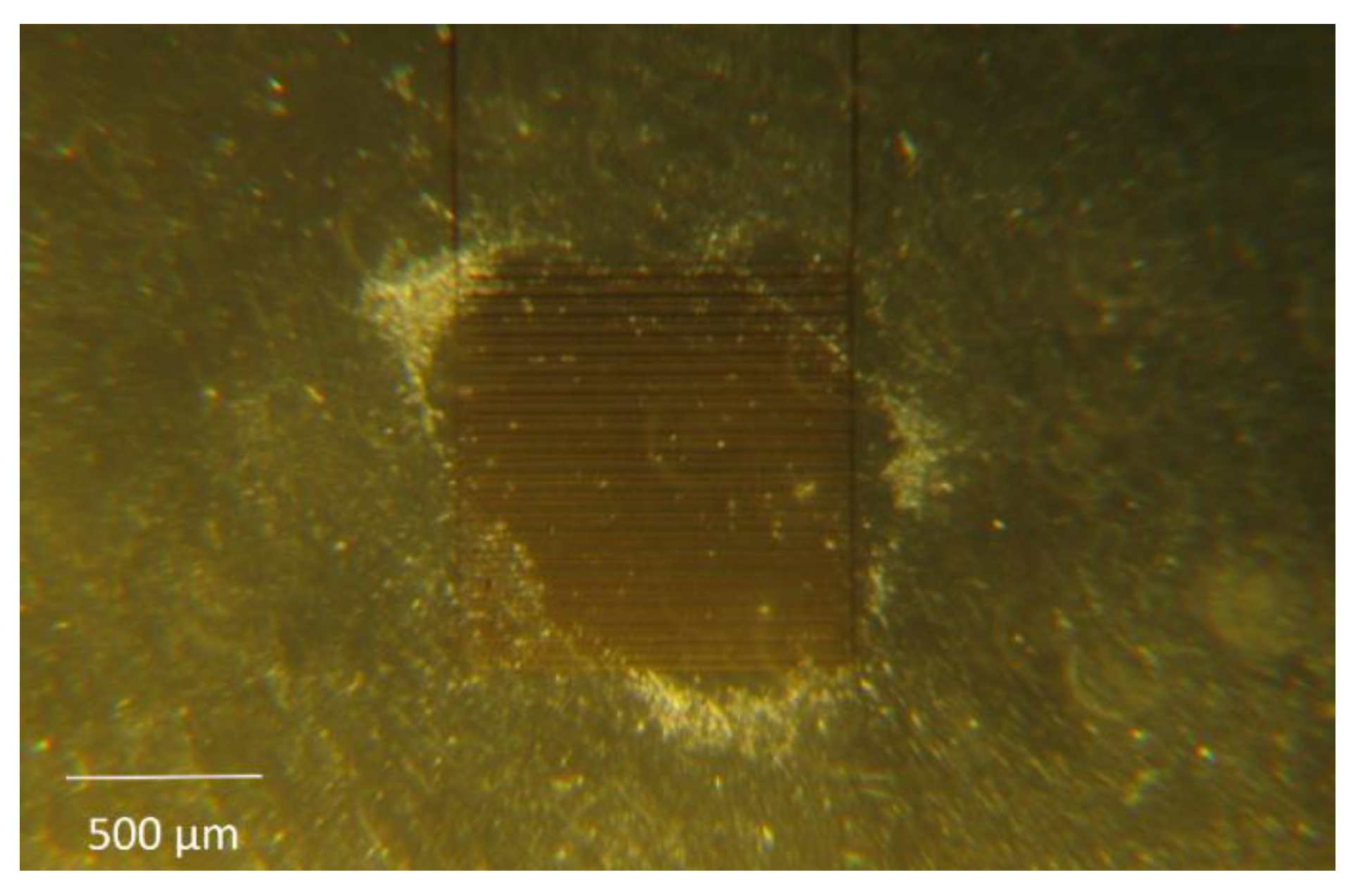 Materials 12 02713 g006