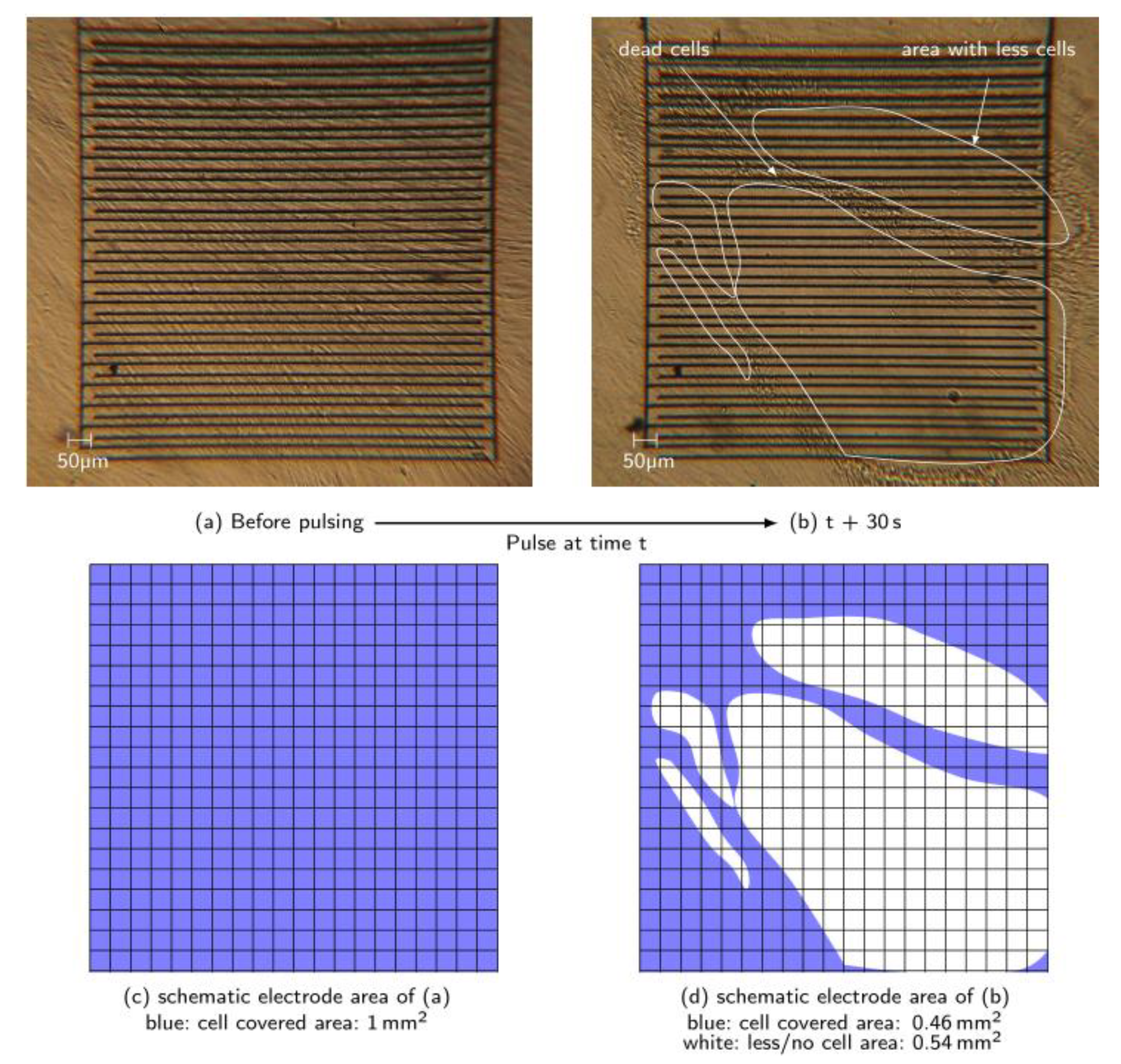 Materials 12 02713 g007