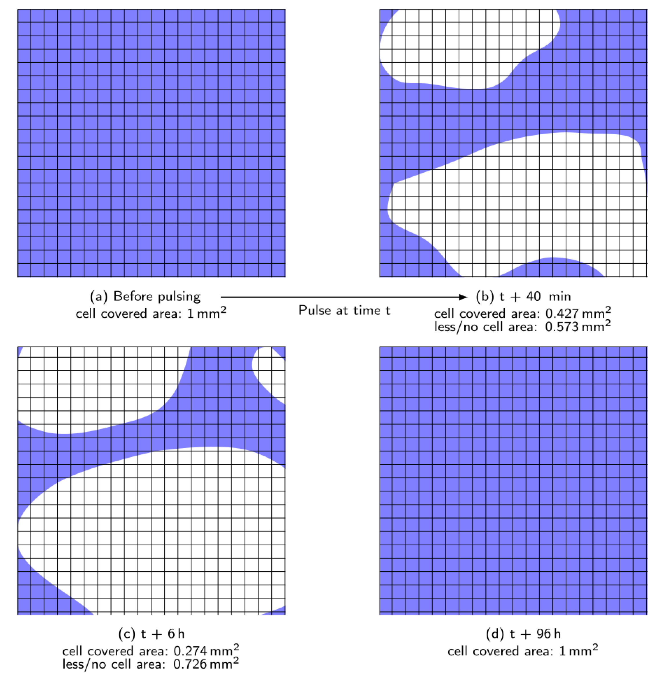 Materials 12 02713 g009