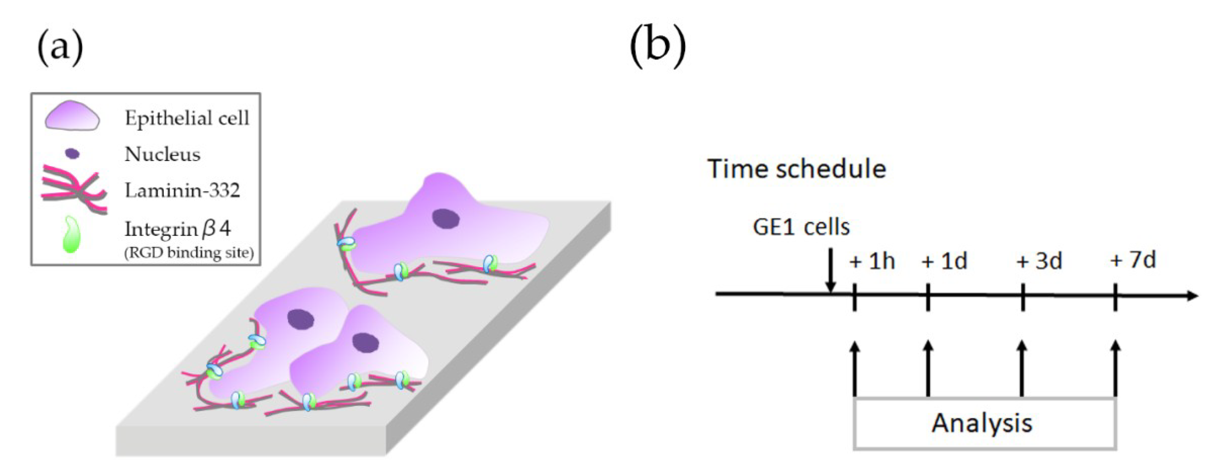 Materials 12 02748 g001