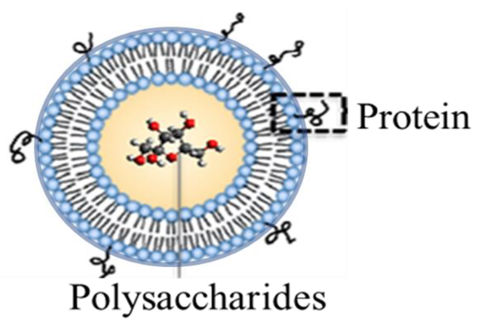 Materials 12 02809 g001