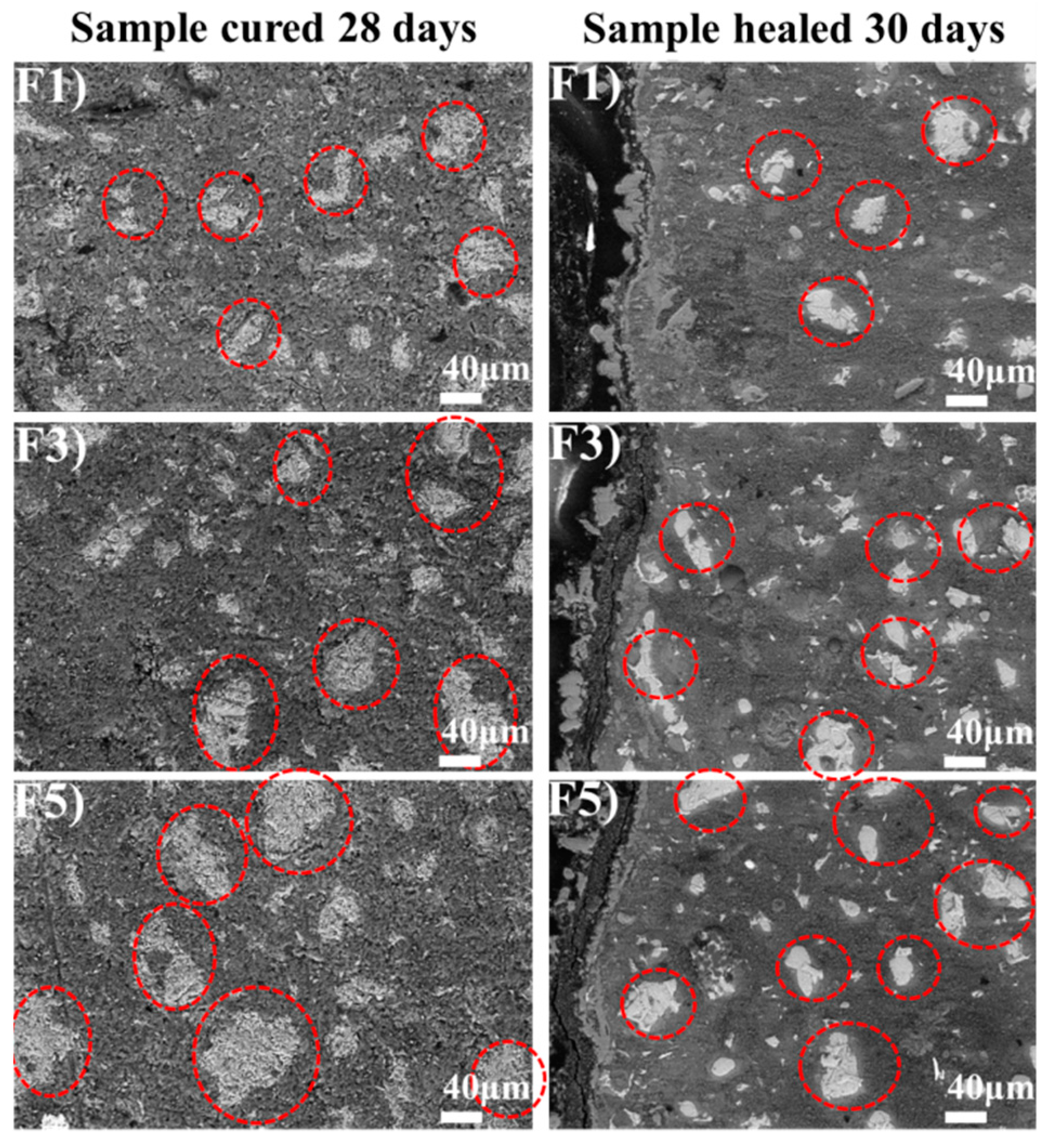 Materials 12 02818 g014