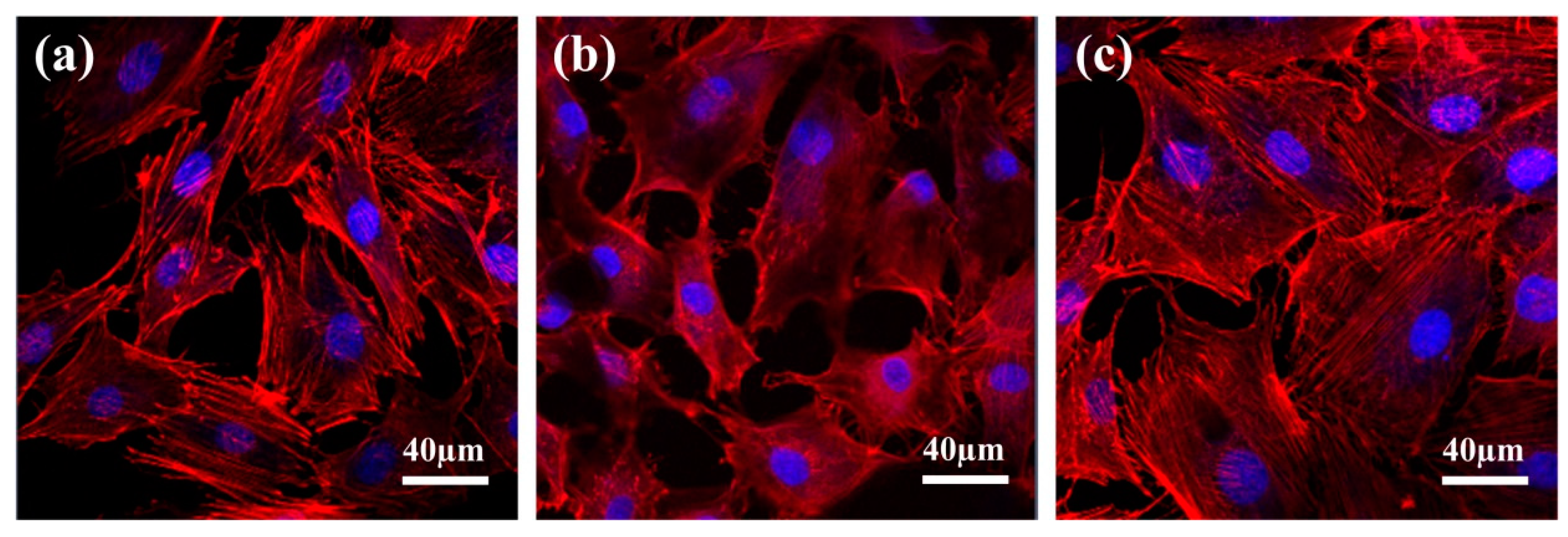 Materials 12 02820 g009