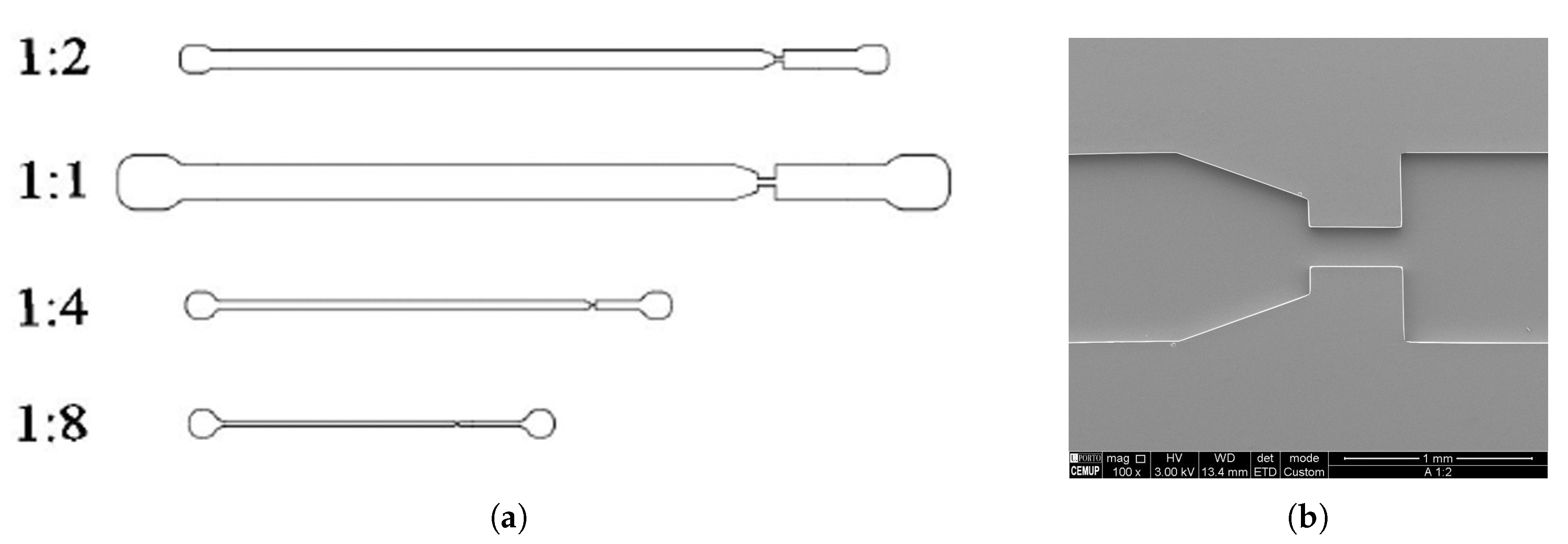 Materials 12 02839 g003 Materials 12 02839 g003