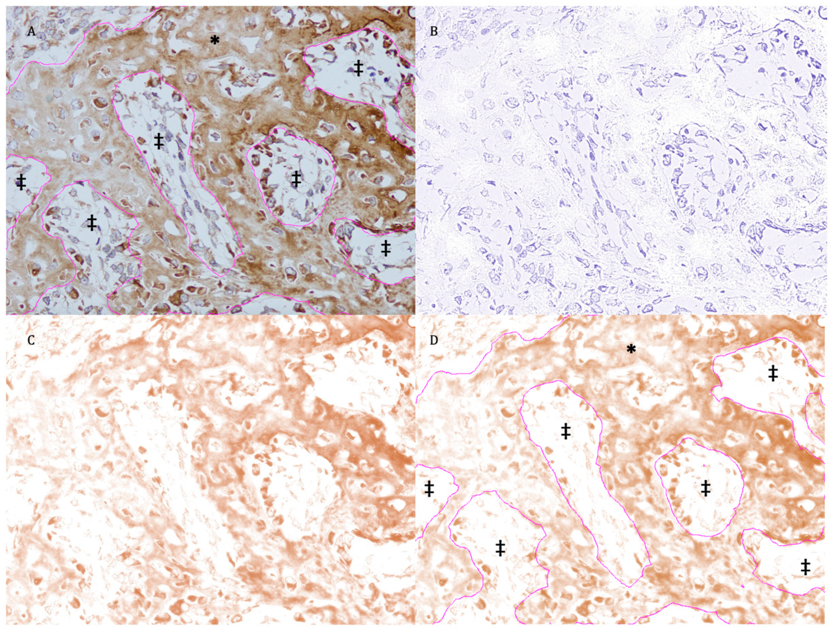 Materials 12 02931 g003