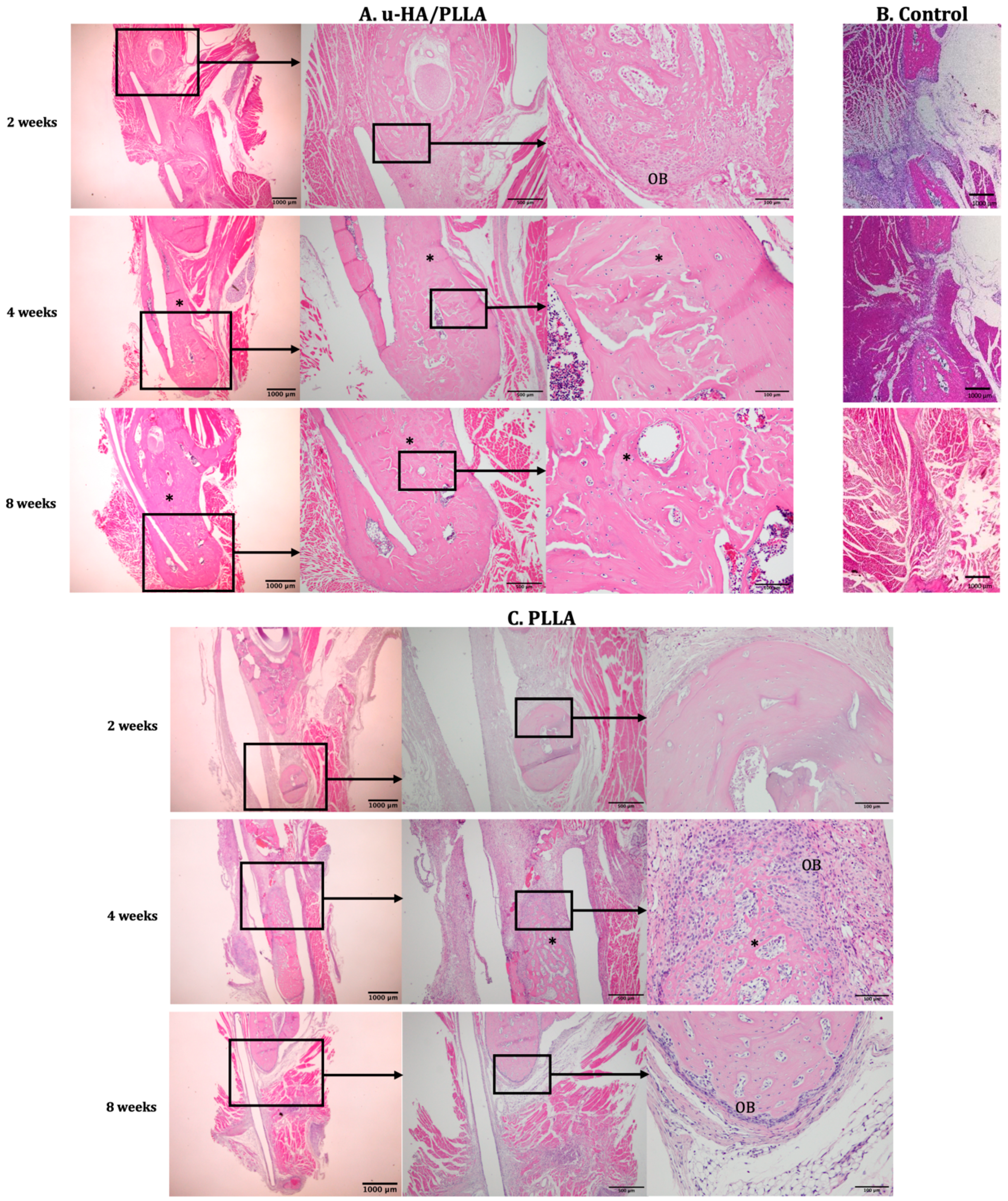 Materials 12 02931 g004