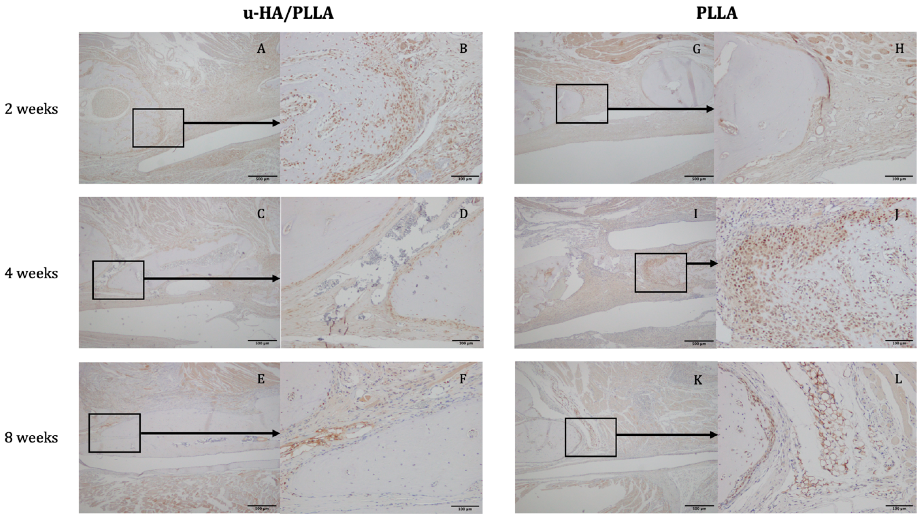 Materials 12 02931 g006