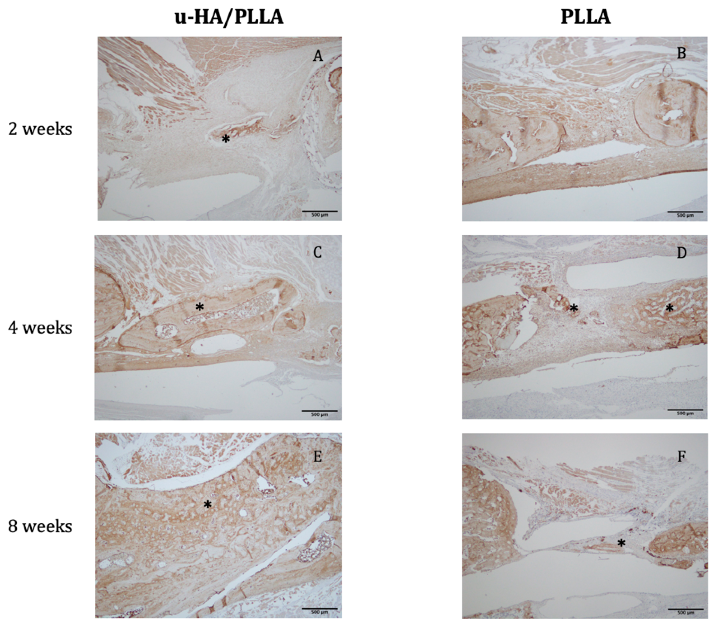 Materials 12 02931 g008
