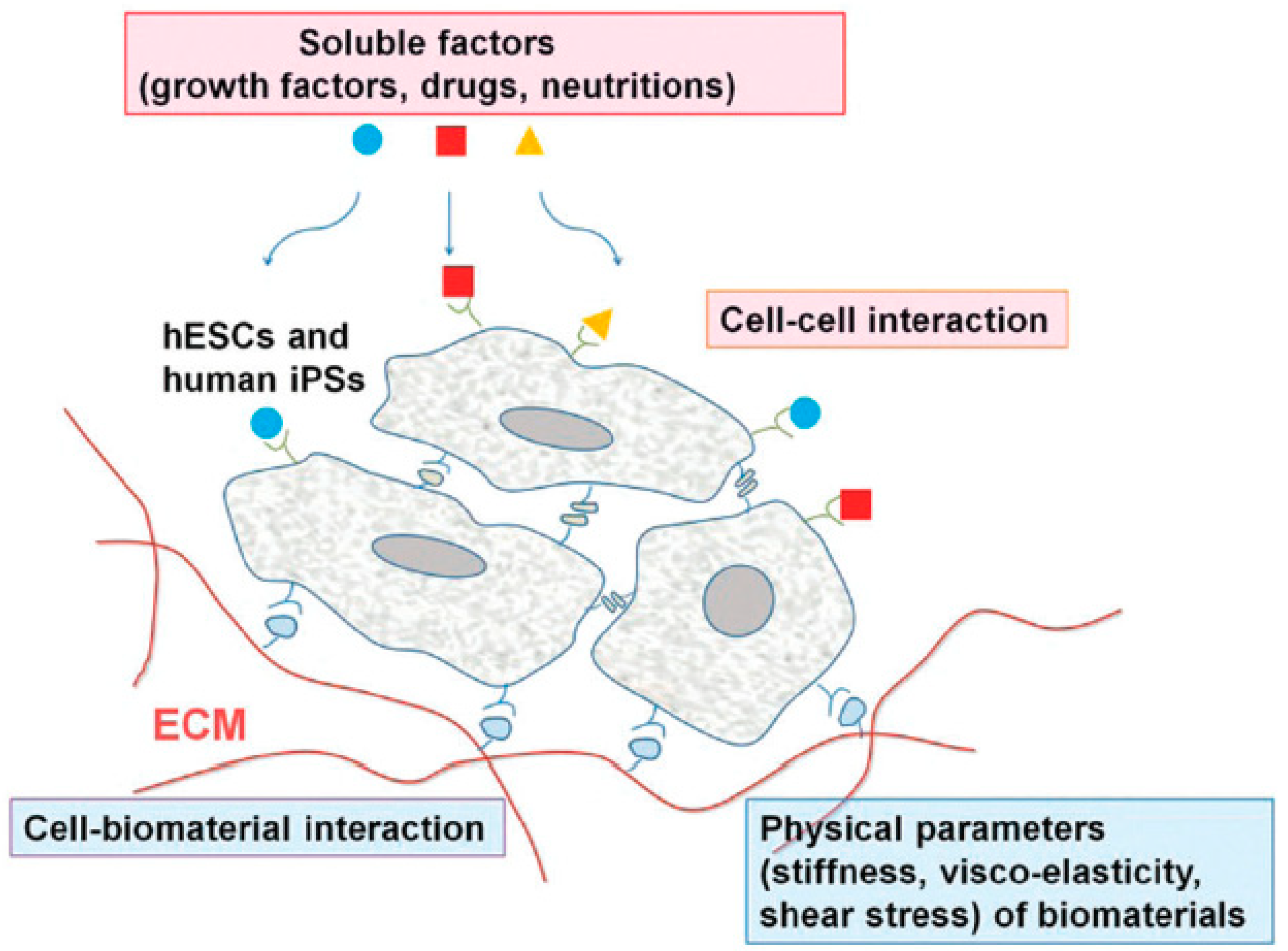Materials 12 02950 g001 Materials 12 02950 g001