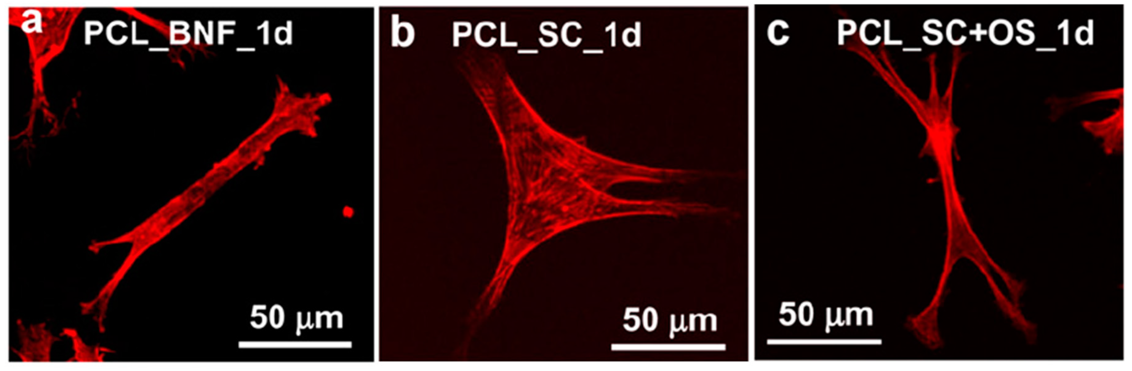Materials 12 02950 g003 Materials 12 02950 g003