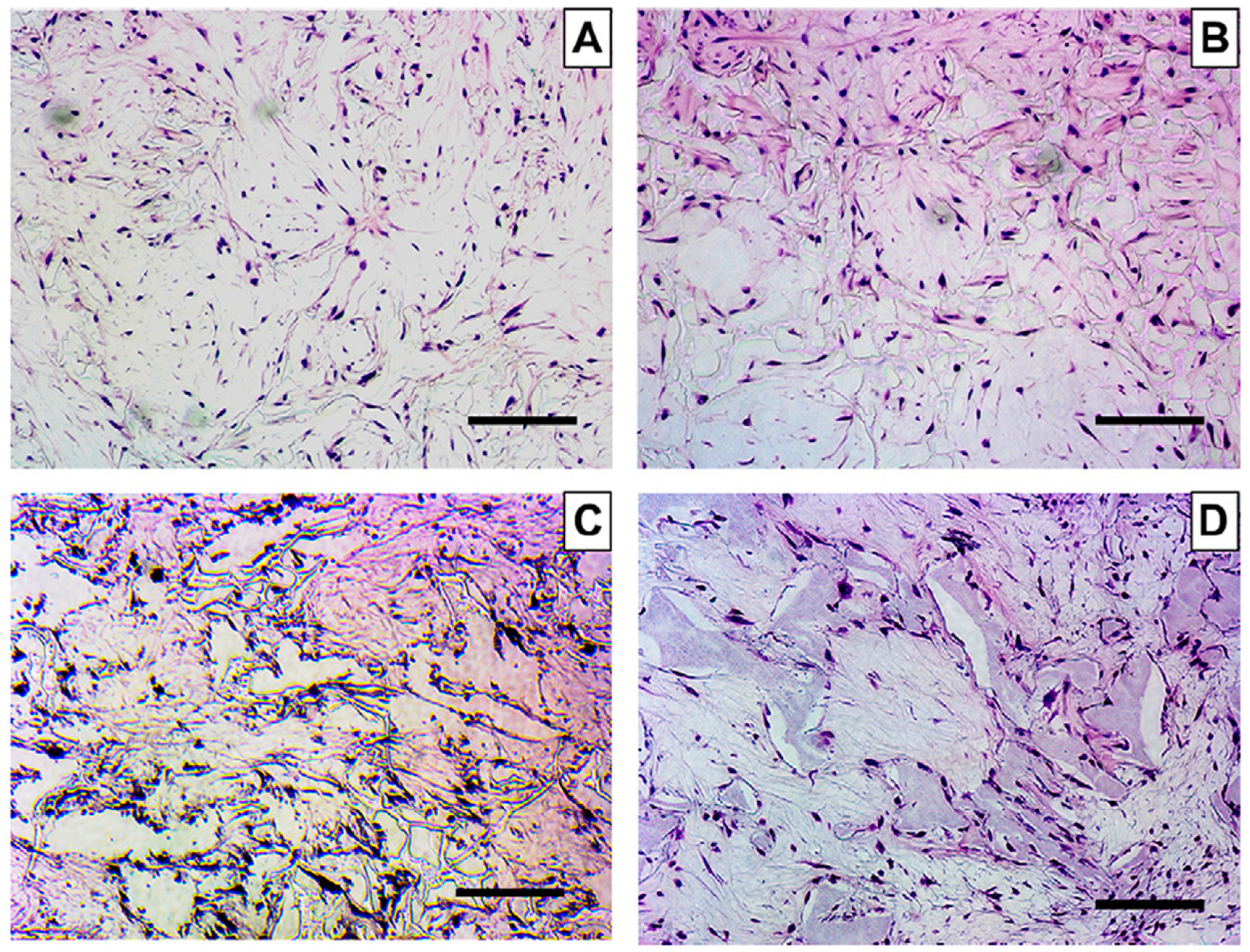 Materials 12 02950 g004 Materials 12 02950 g004