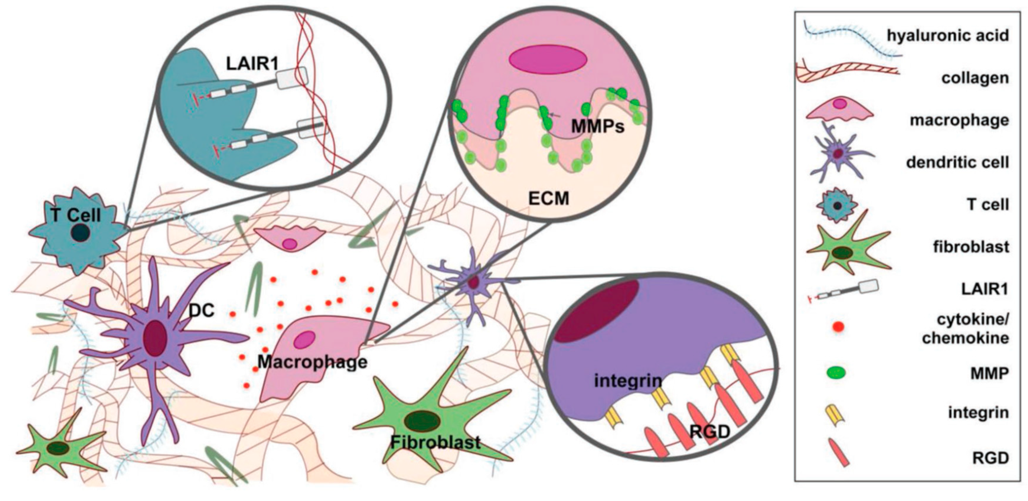 Materials 12 02950 g006 Materials 12 02950 g006